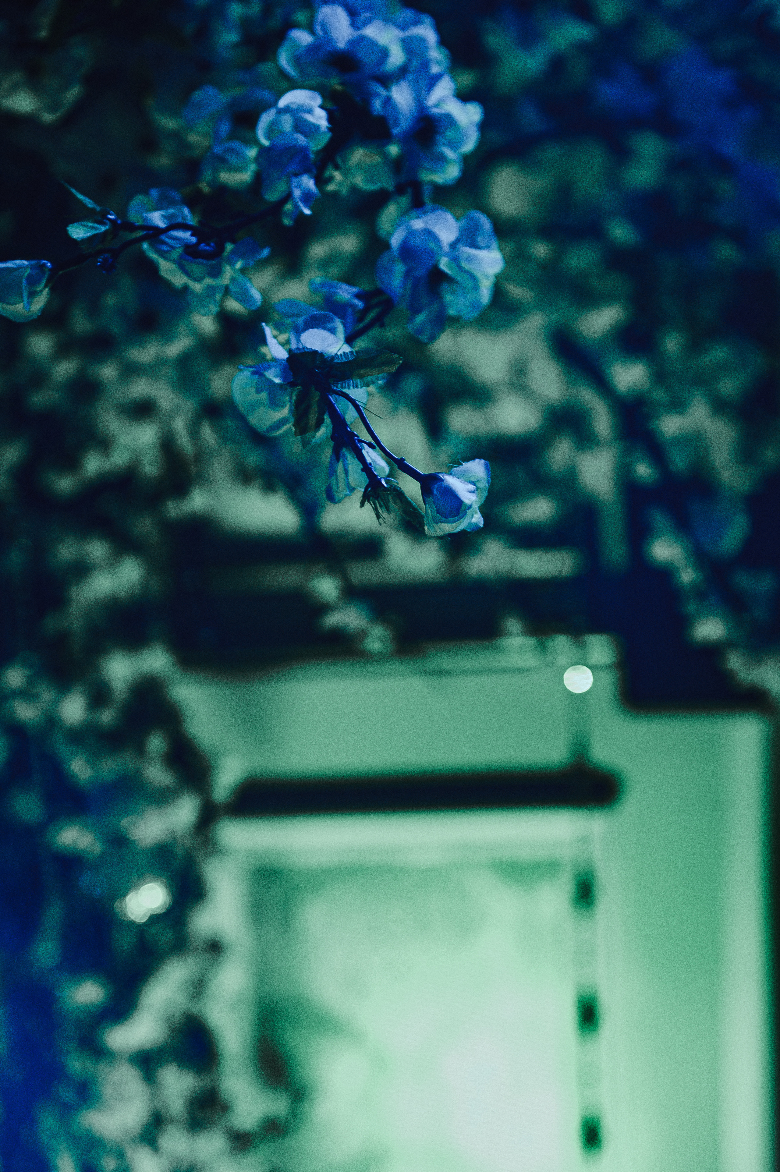 Сергей и Юля. Свадебный фотограф в Москве Алексей Тук