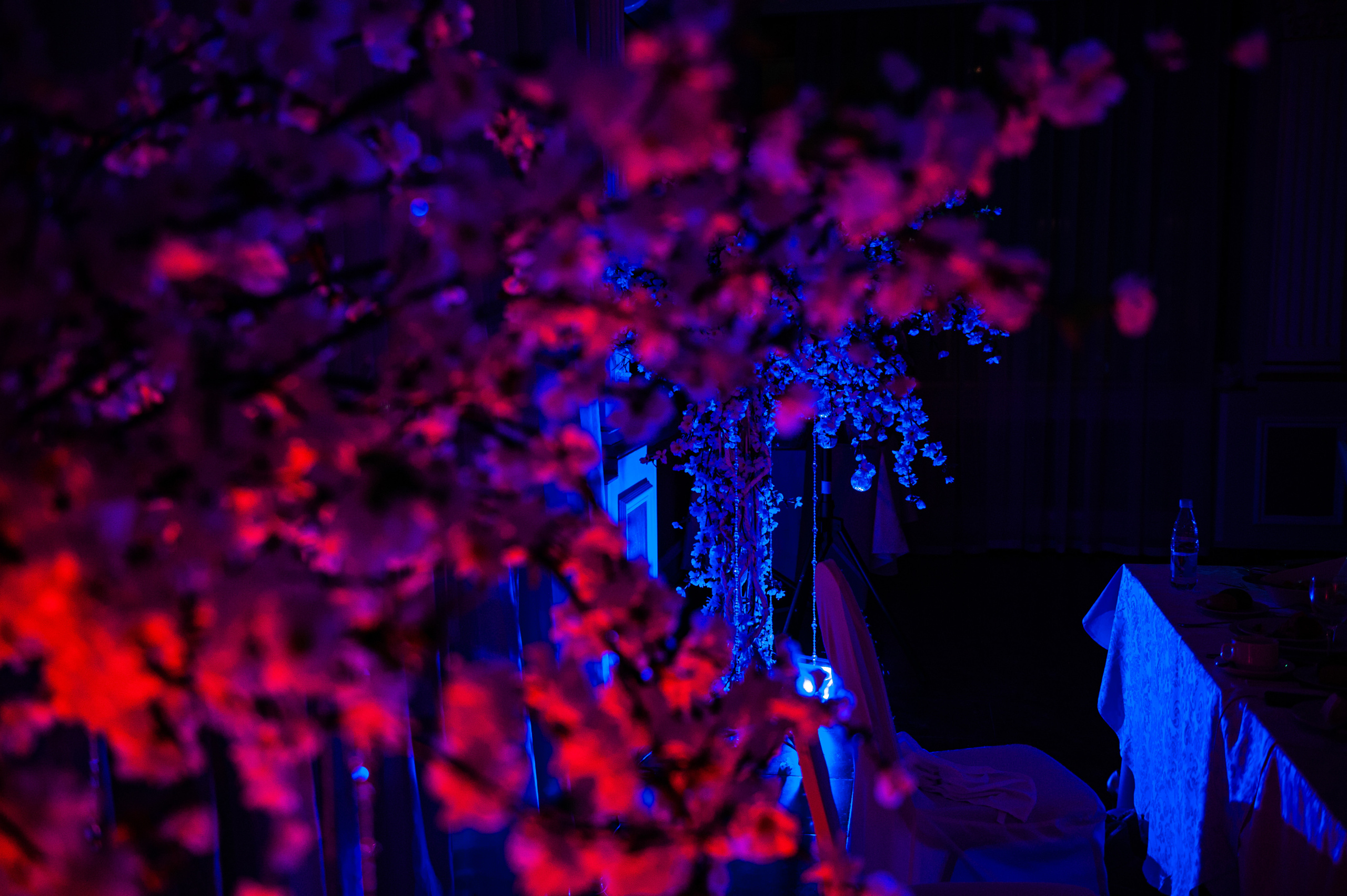 Сергей и Юля. Свадебный фотограф в Москве Алексей Тук