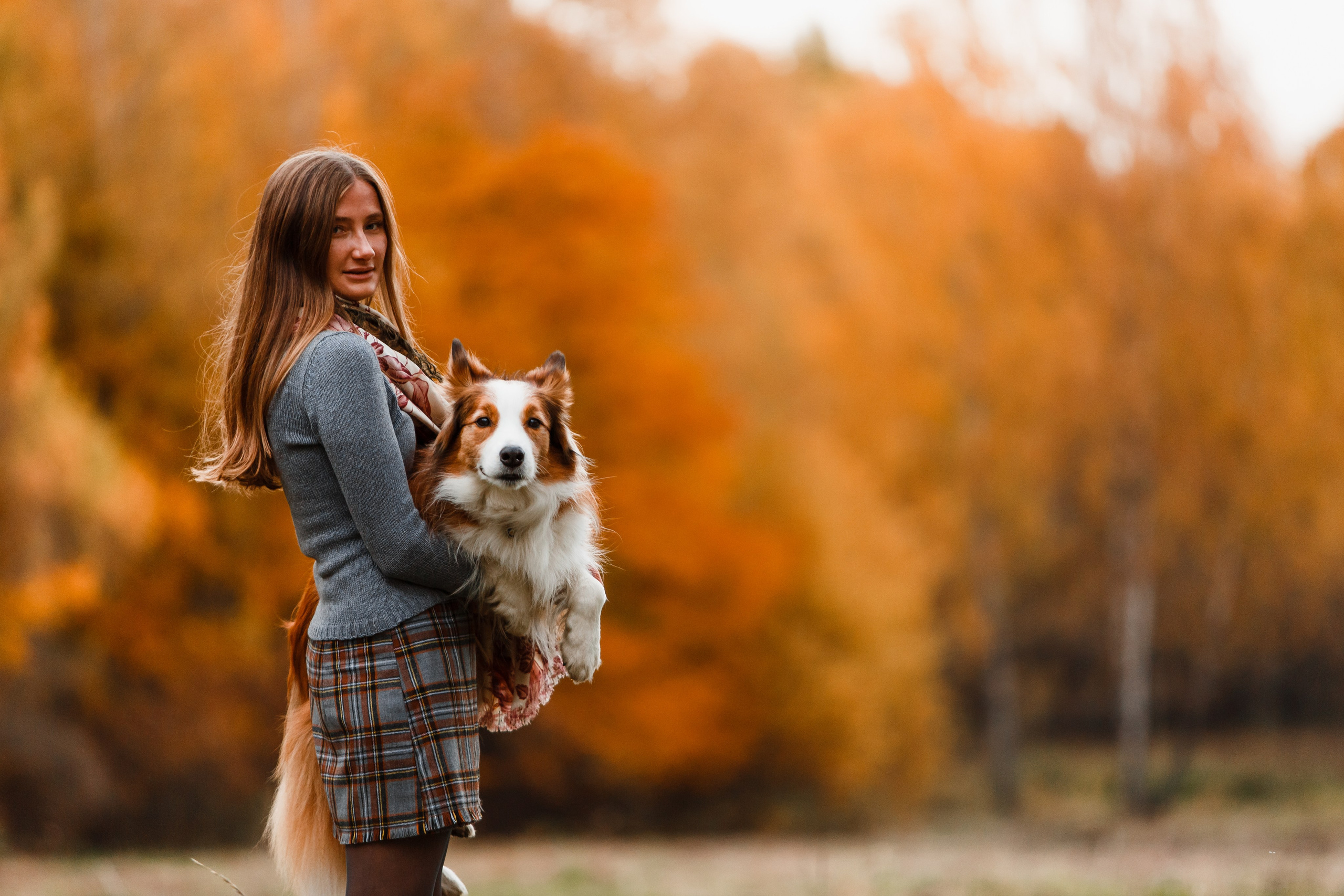 Анималистика. Главная