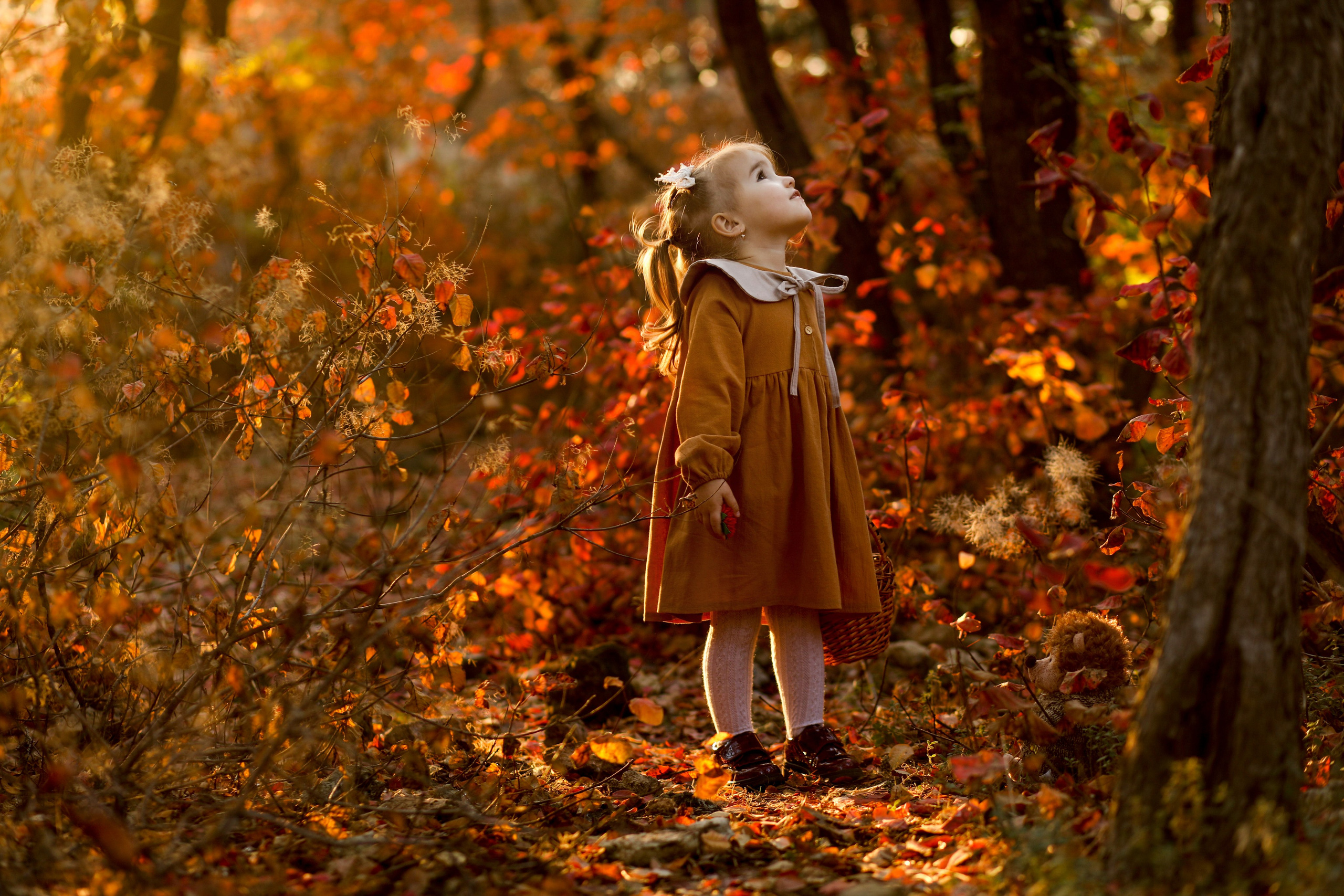 Марк и Ксюша. Свадебный и семейный фотограф в Севастополе и Крыму Анастасия Сураева