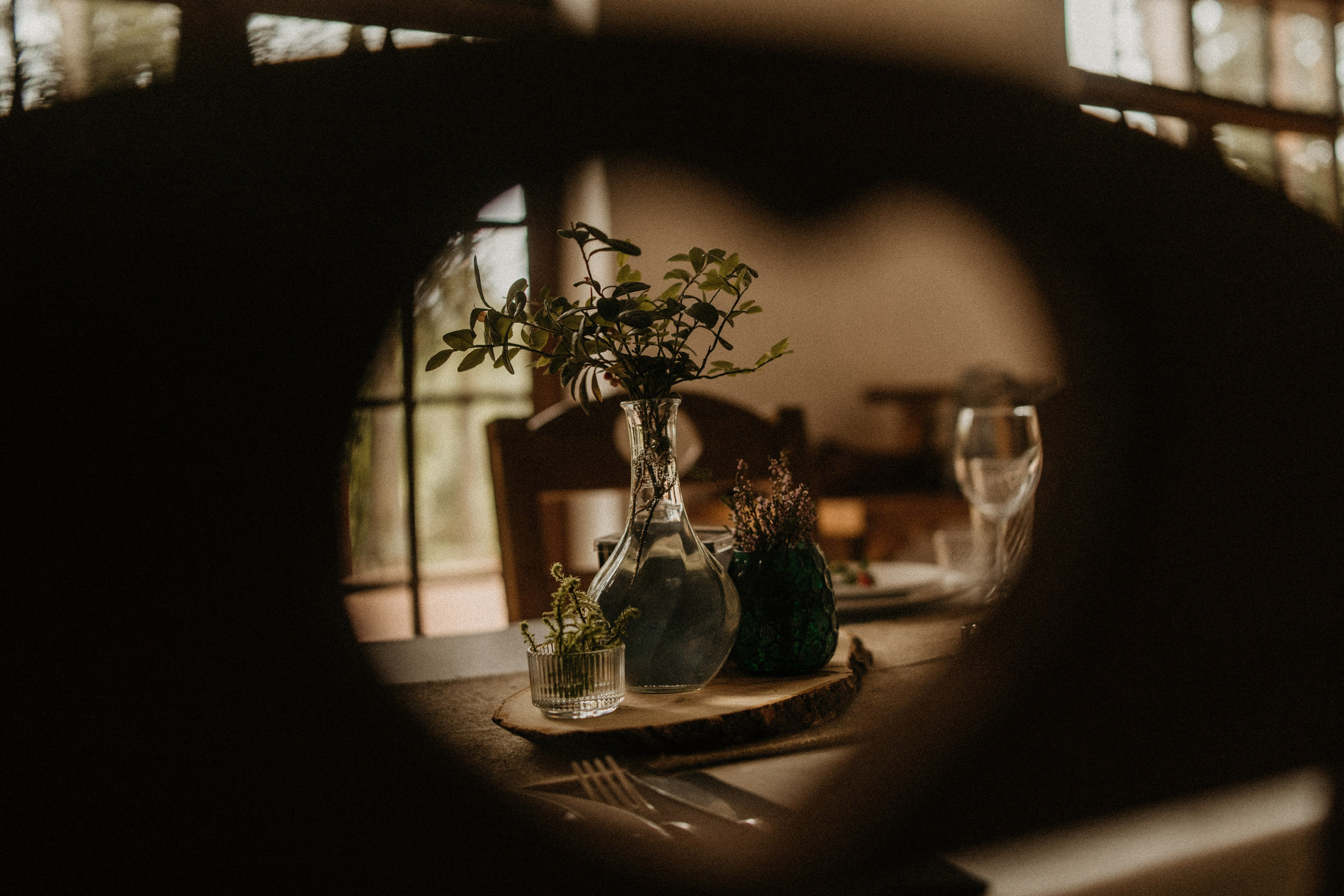 УТРО В ЛЕСУ. Миша Снимет | твой фотограф