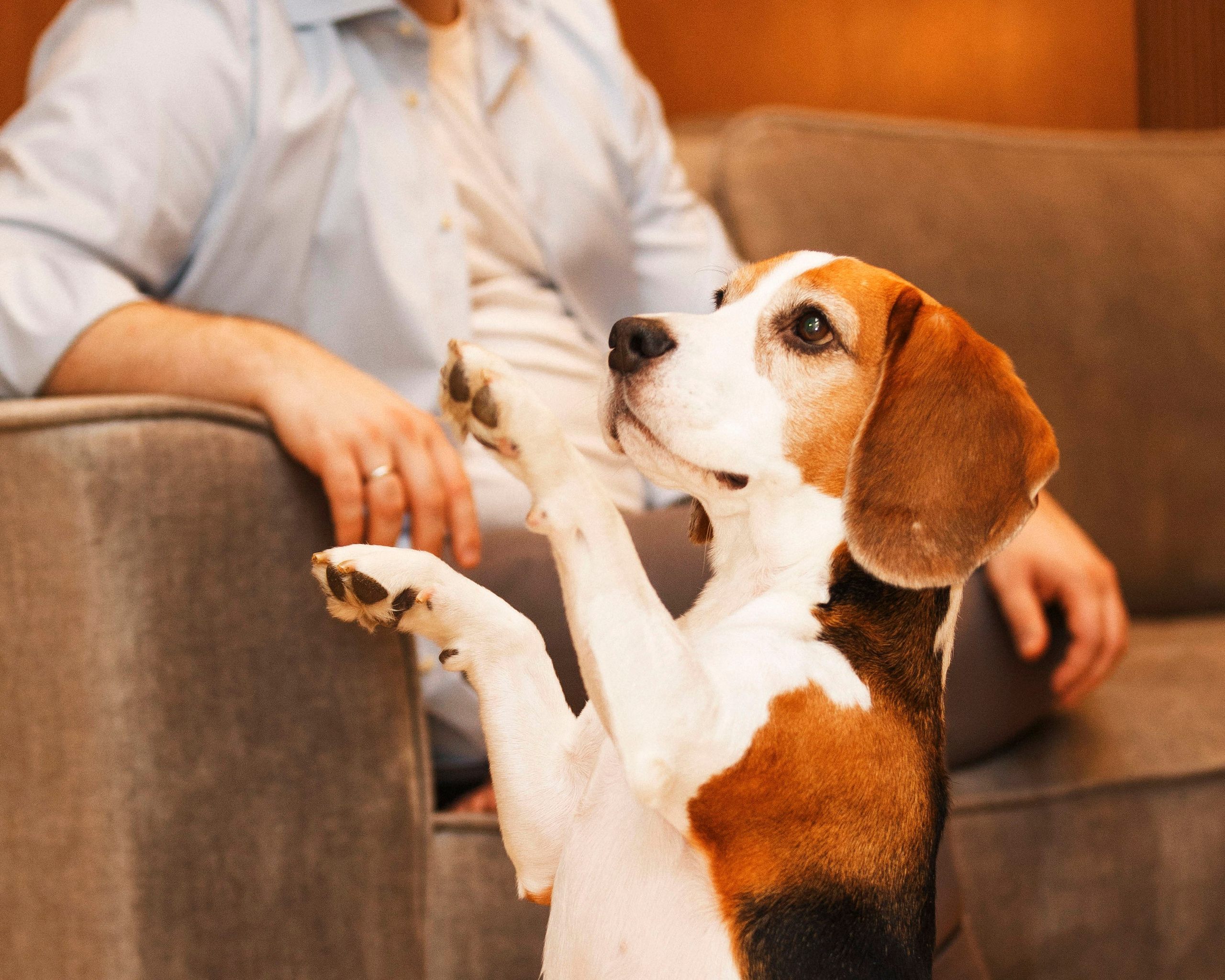 Дома. Photographer in Montenegro Tatiana Talaeva