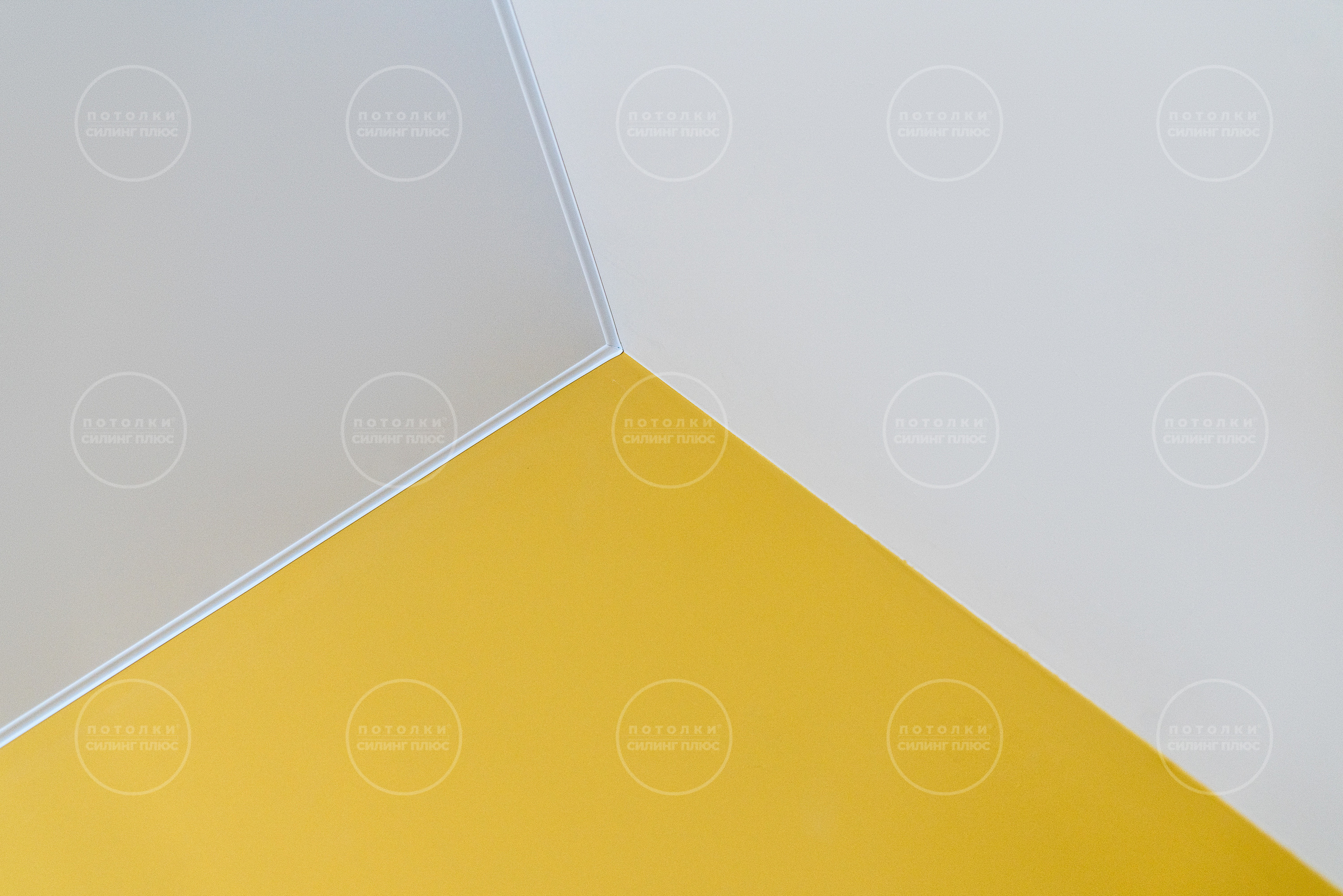 Потолок как арт объект. Профессиональное решение для частных лиц и бизнеса