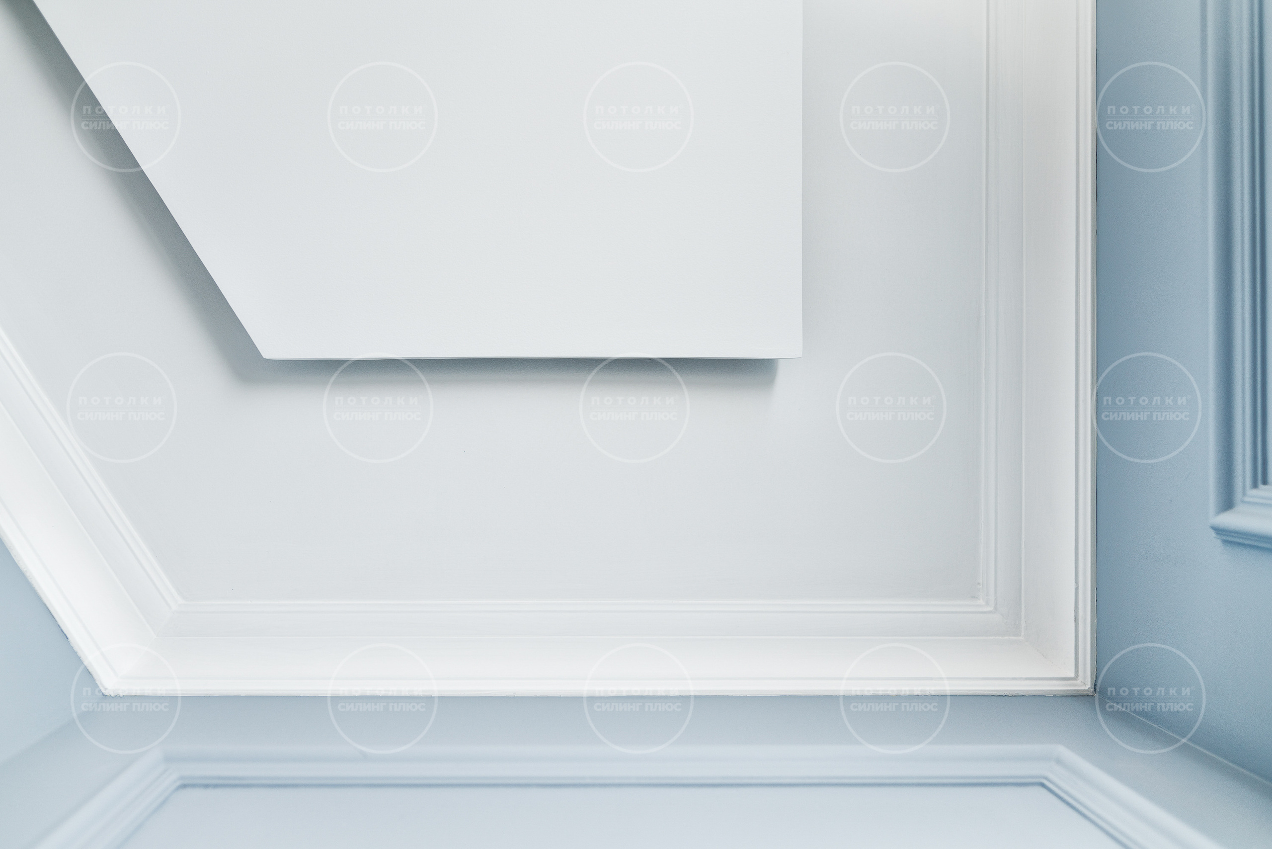 Потолок как арт объект. Профессиональное решение для частных лиц и бизнеса