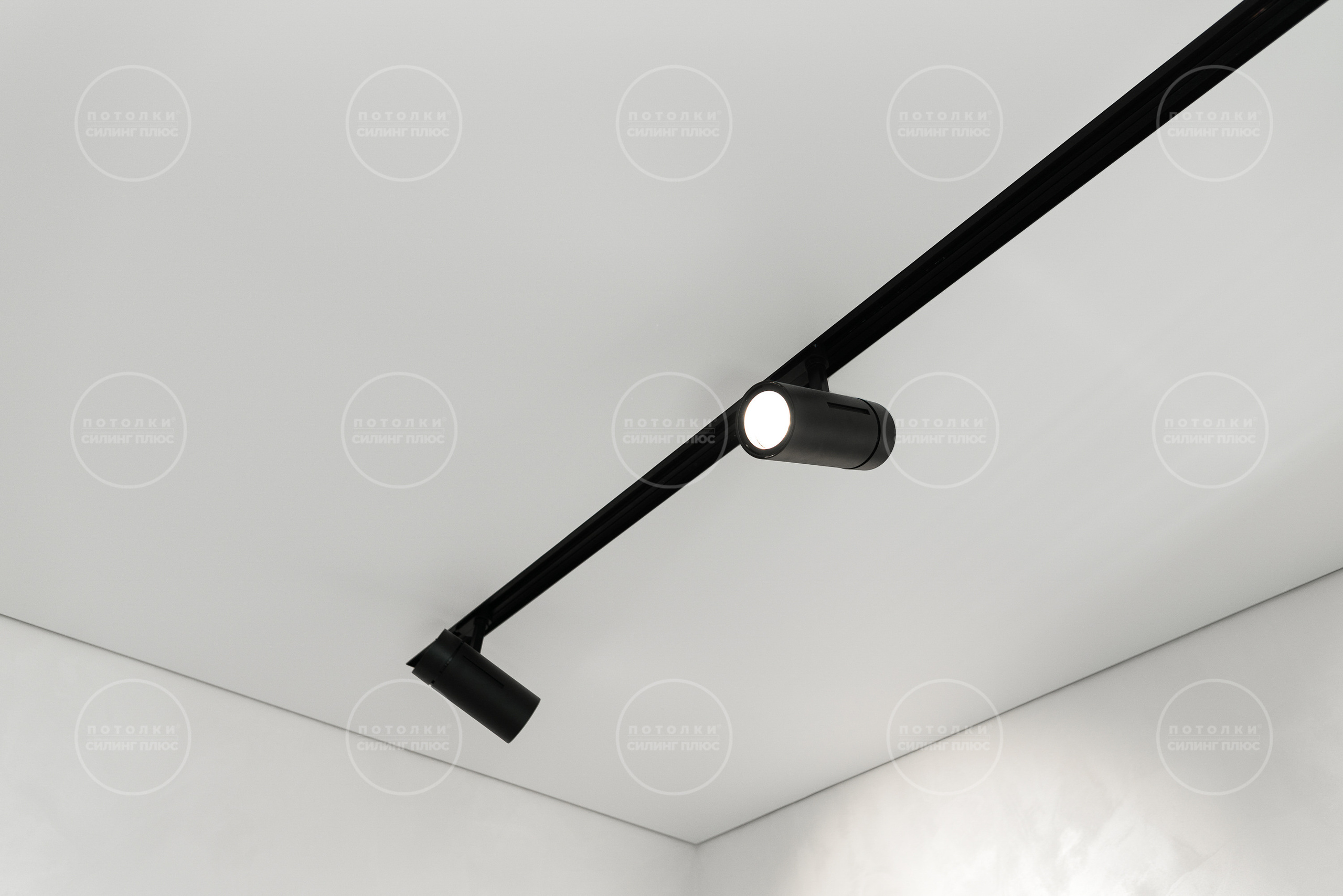 Потолок как арт объект. Профессиональное решение для частных лиц и бизнеса