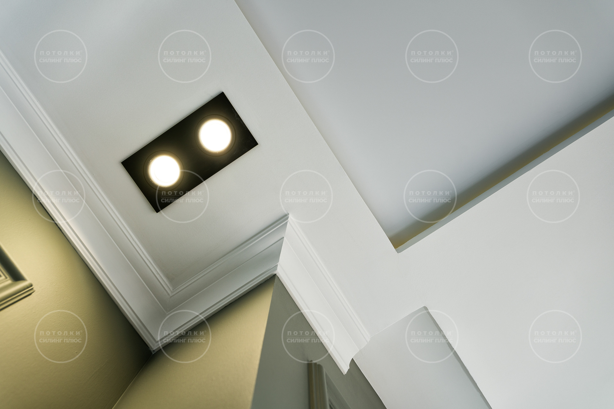 Потолок как арт объект. Профессиональное решение для частных лиц и бизнеса