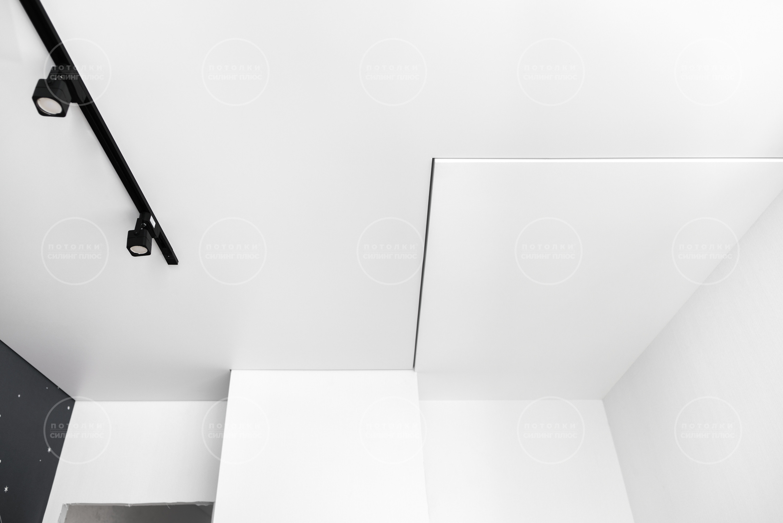 Потолок как арт объект. Профессиональное решение для частных лиц и бизнеса