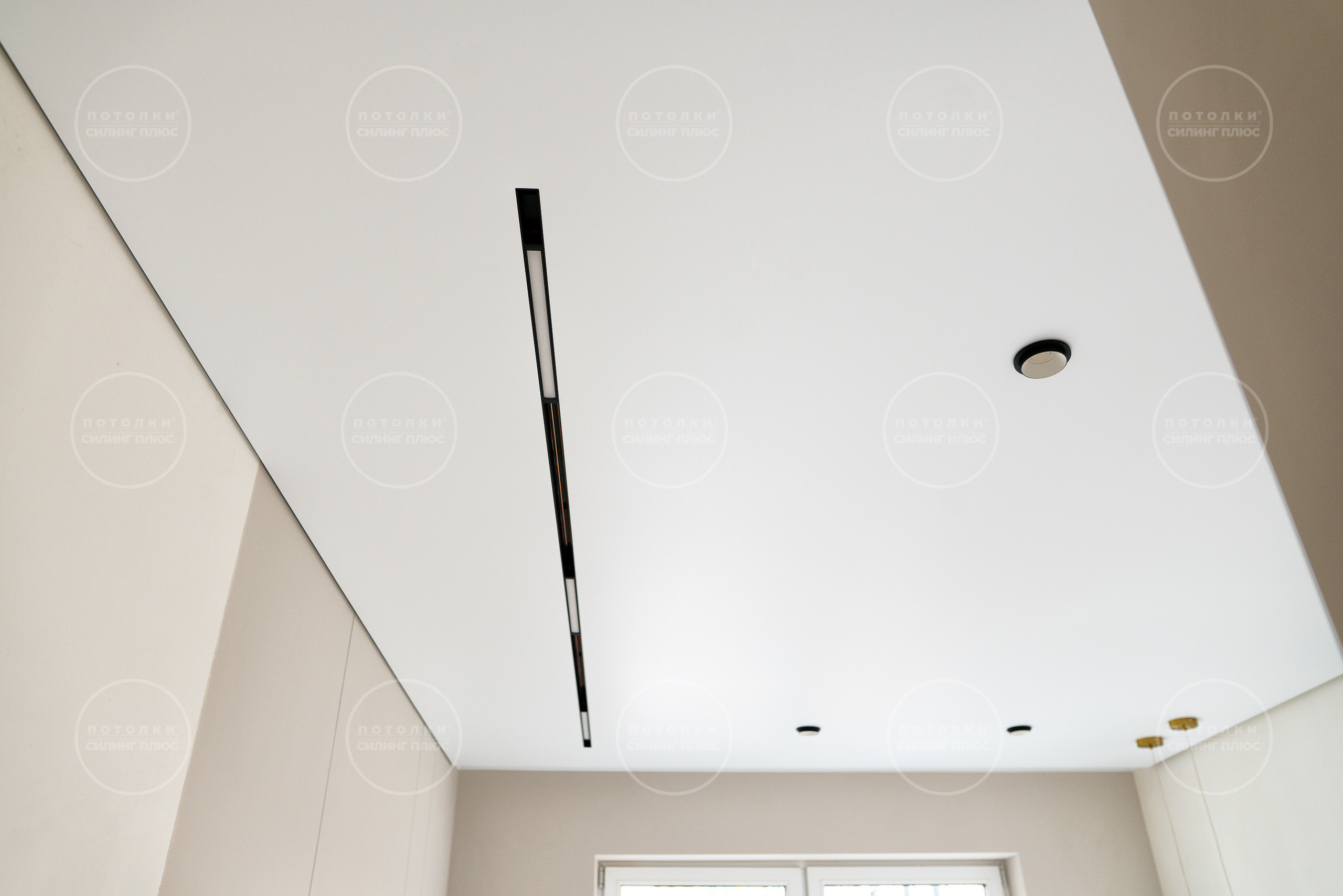 Потолок как арт объект. Профессиональное решение для частных лиц и бизнеса