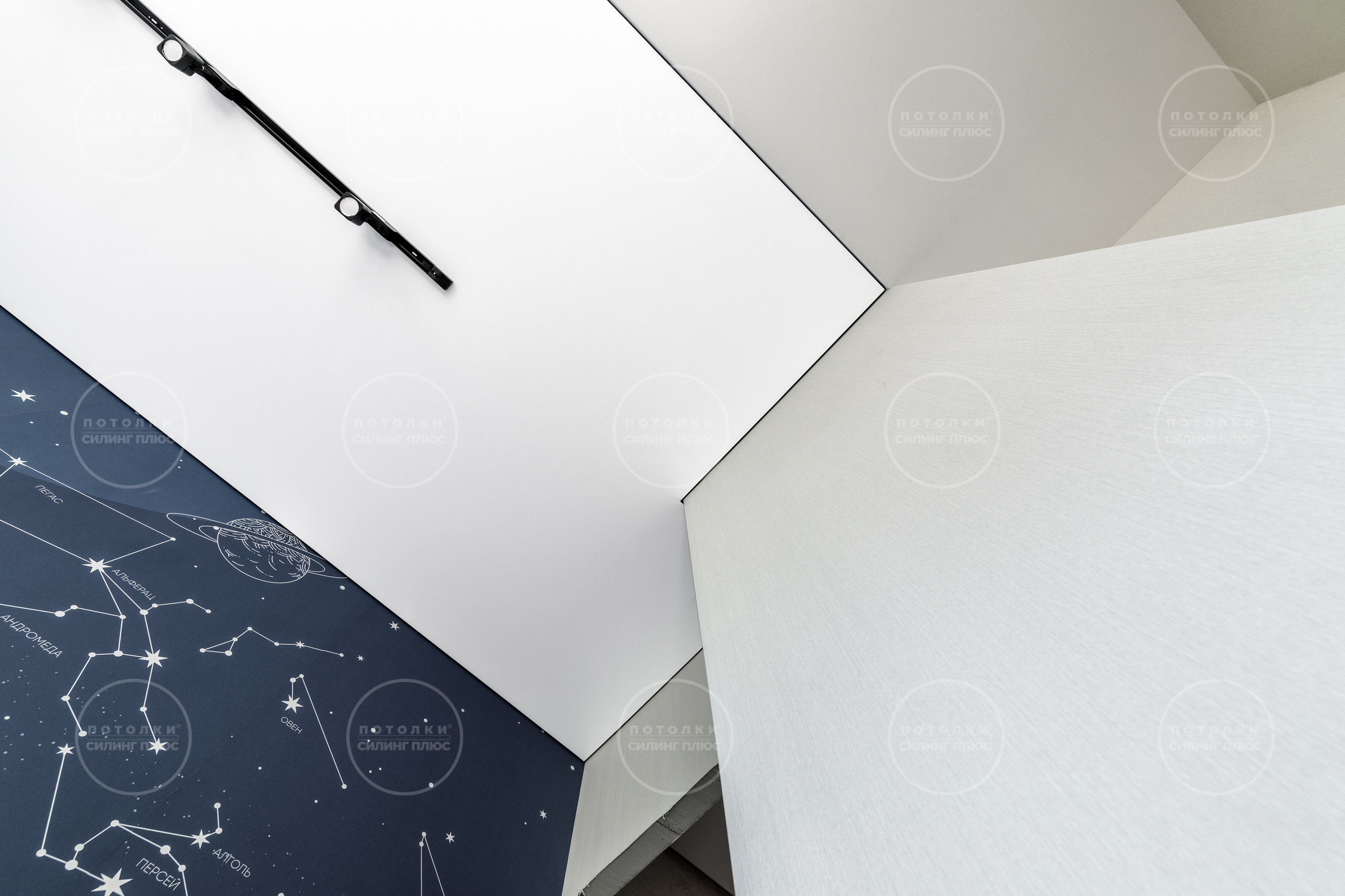 Потолок как арт объект. Профессиональное решение для частных лиц и бизнеса