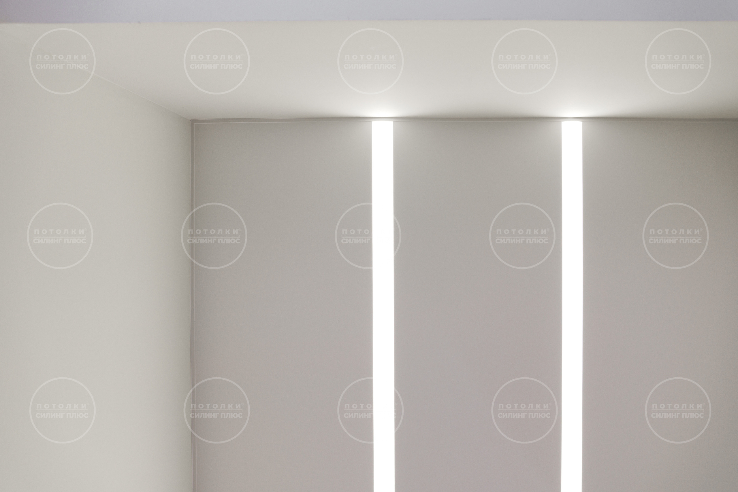 Потолок как арт объект. Профессиональное решение для частных лиц и бизнеса