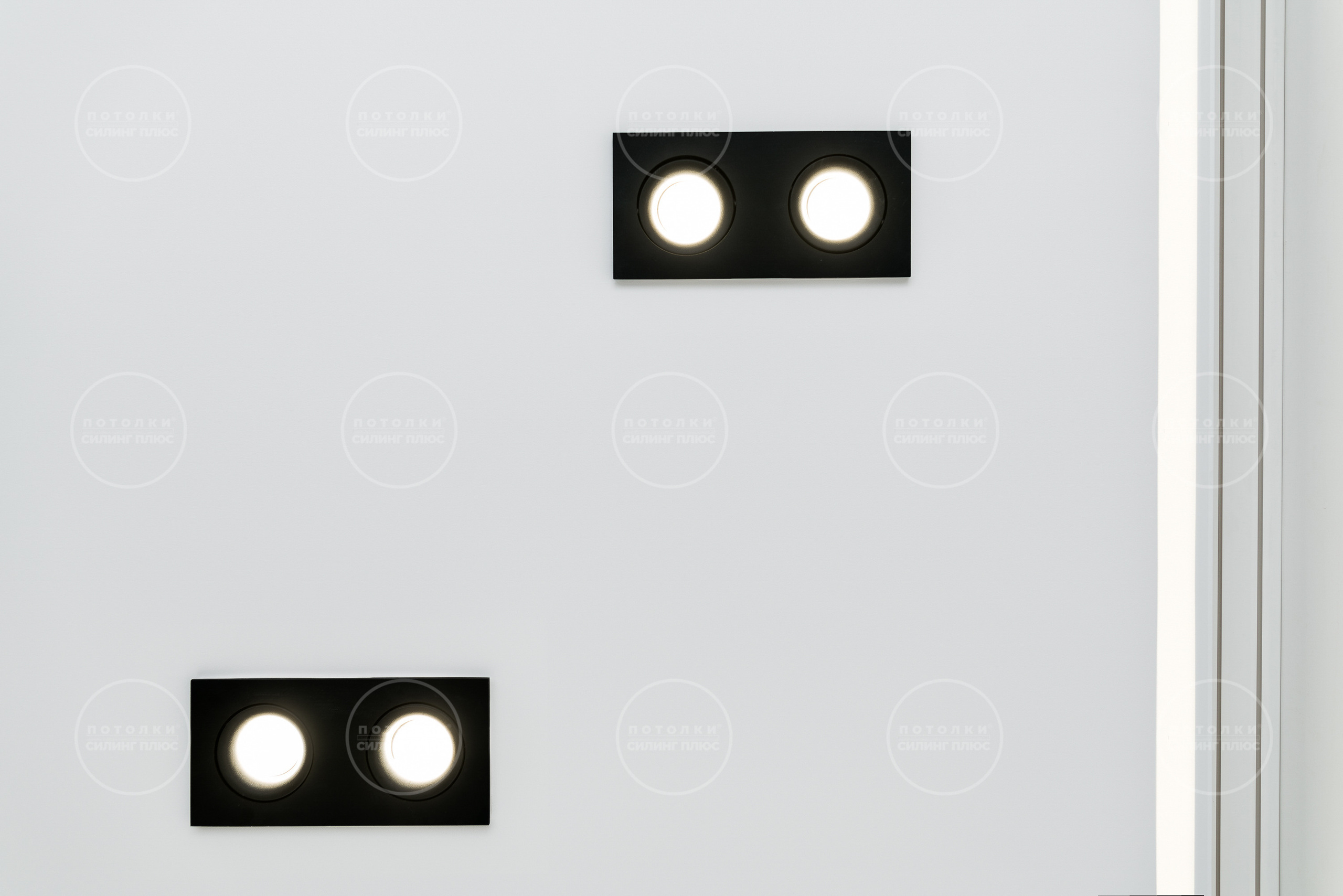 Потолок как арт объект. Профессиональное решение для частных лиц и бизнеса