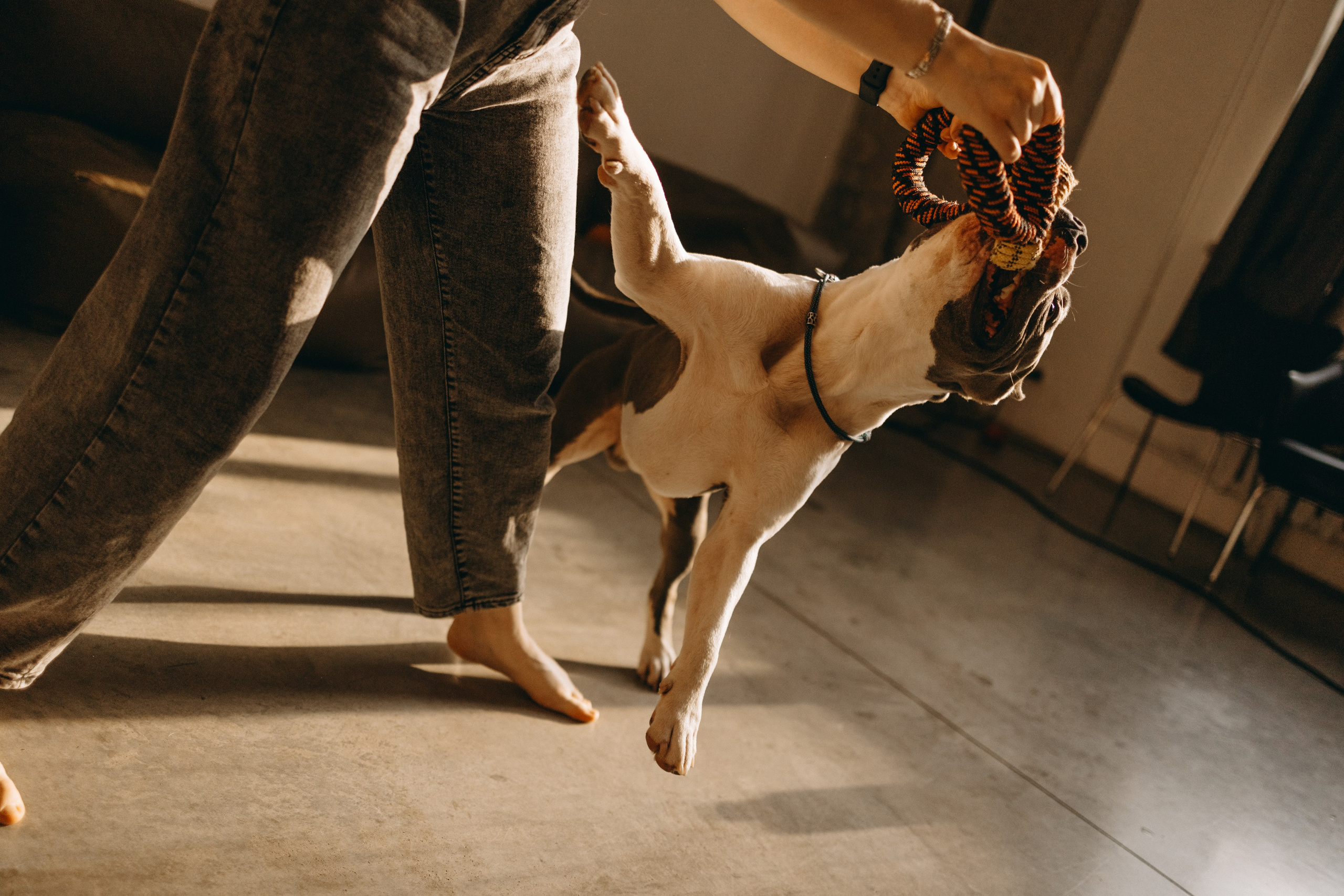 Саша и Кракен. Фотограф — Анималист | Санкт-Петербург