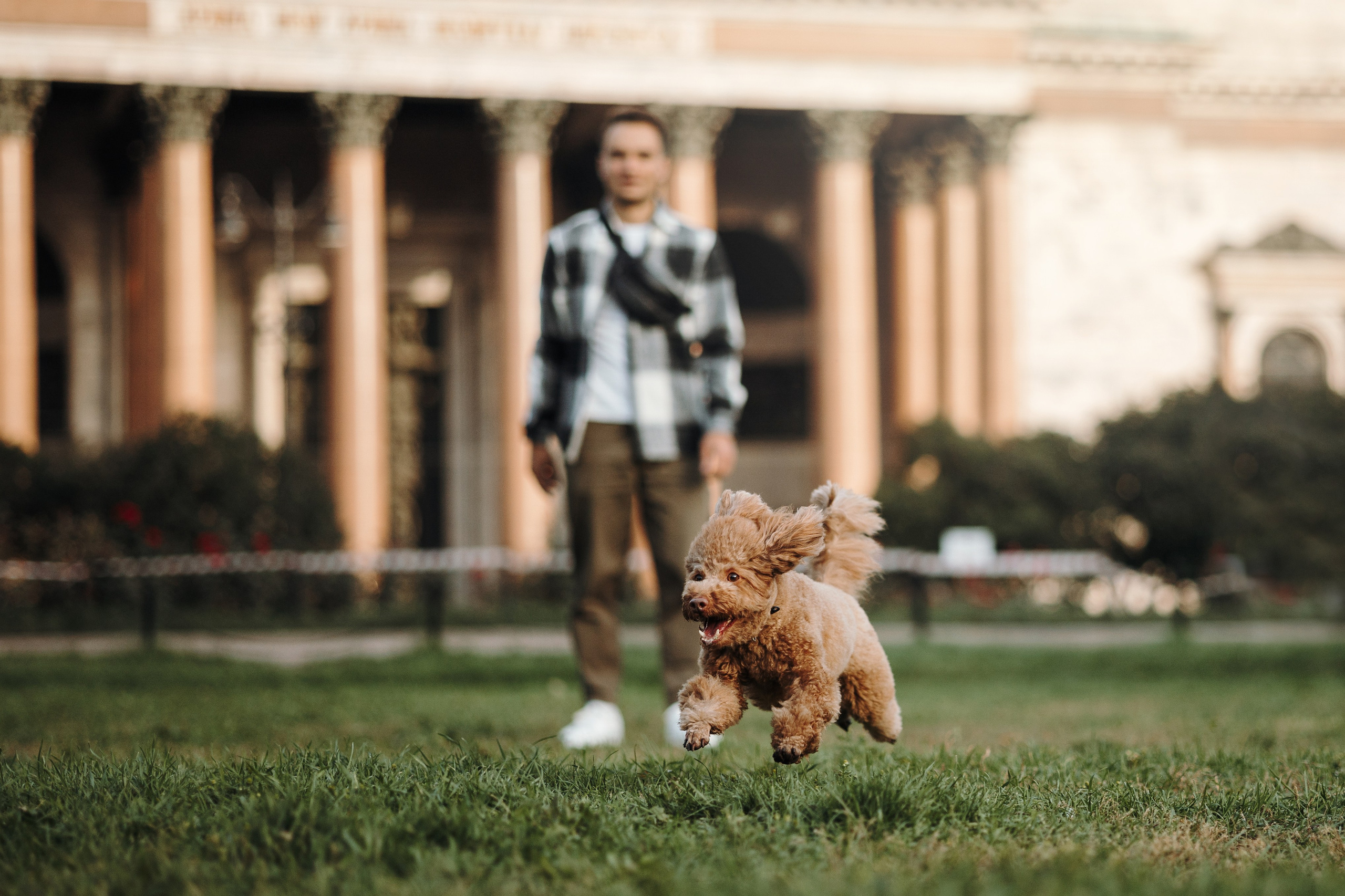 Барни и его семья. Фотограф — Анималист | Санкт-Петербург