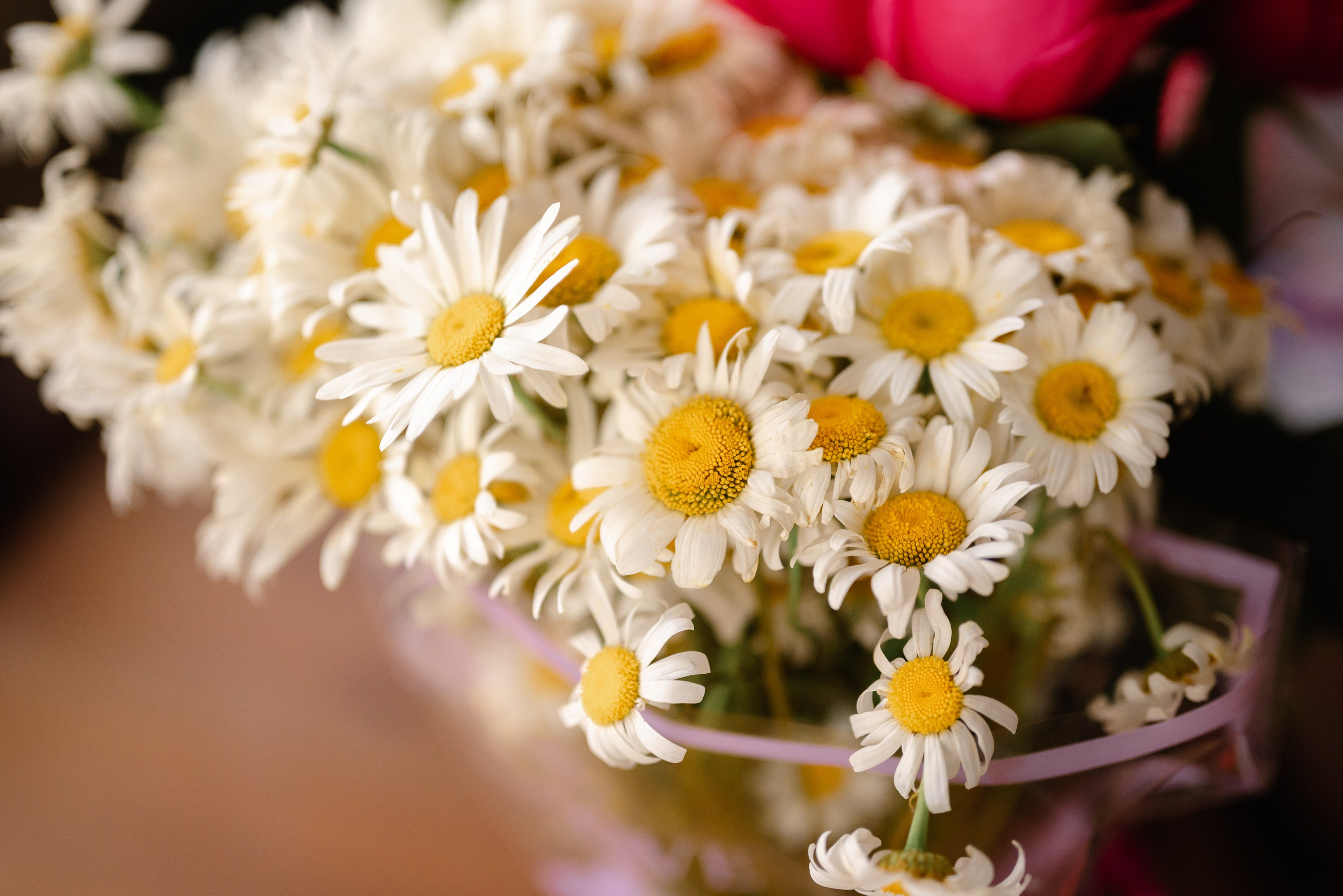 Russian HB. Дарья Медведева