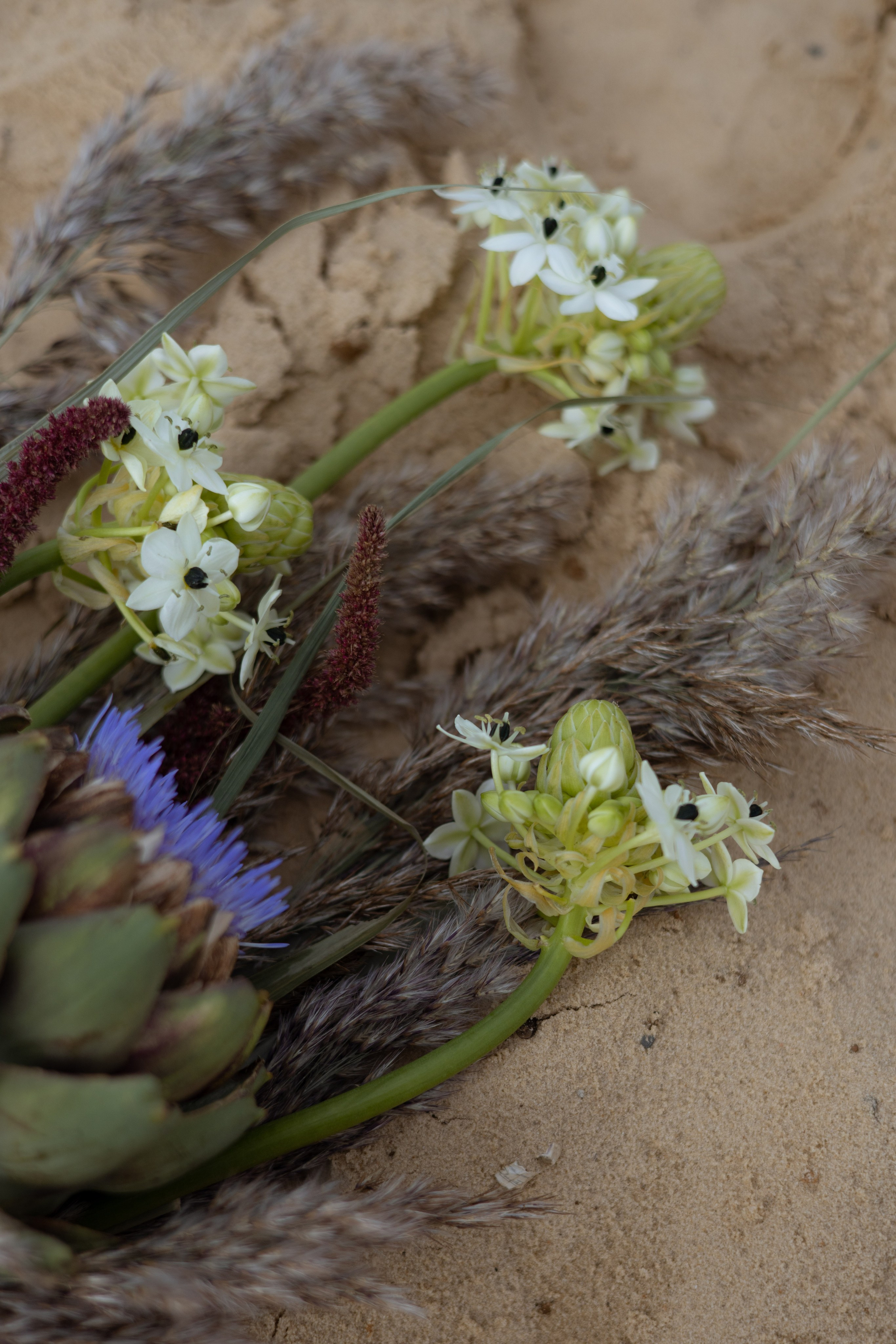 Пляж. Оформление свадеб, декор свадеб Вера Маркова, Москва