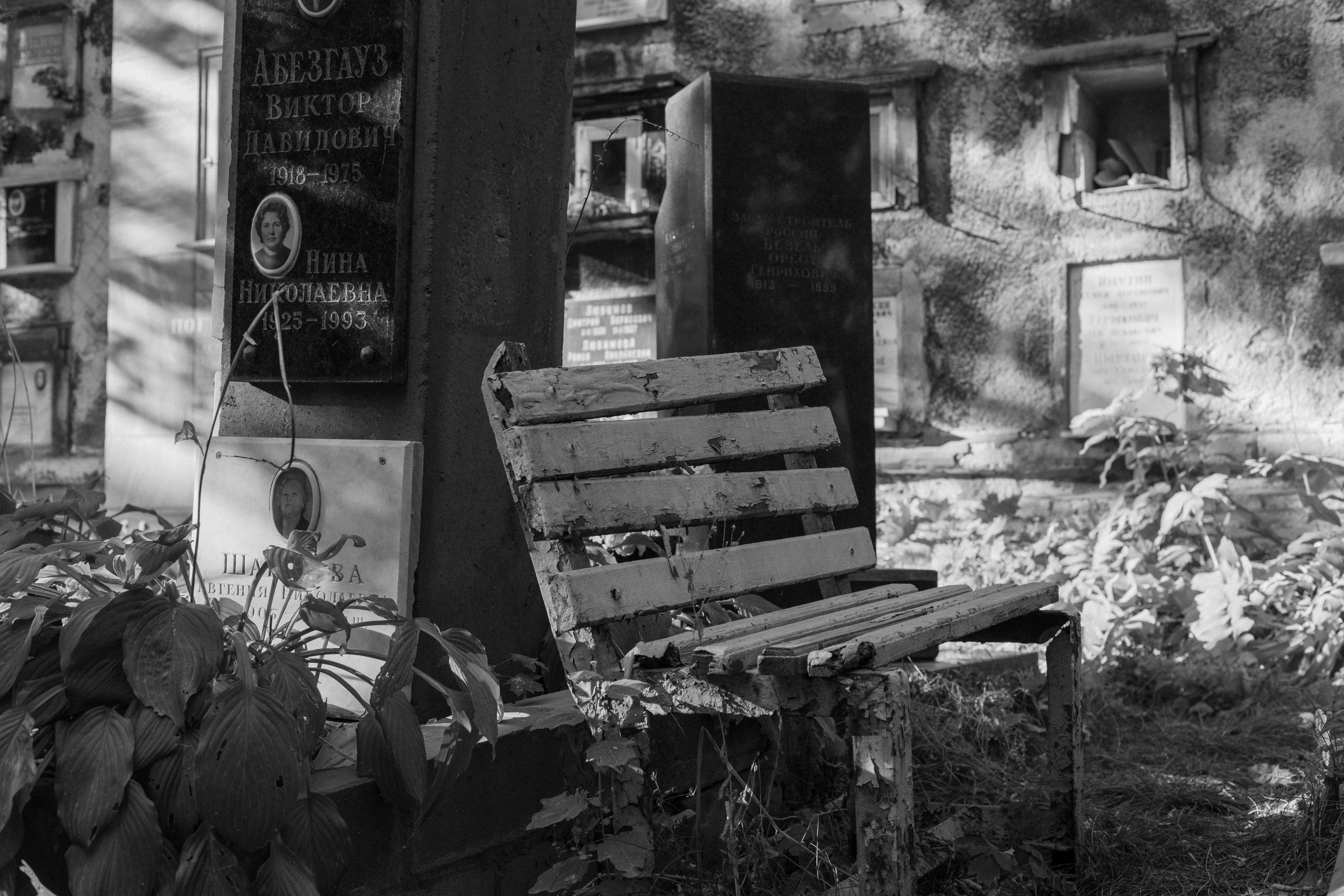 Донское кладбище. Арсений Игошев — фотограф, урбанист