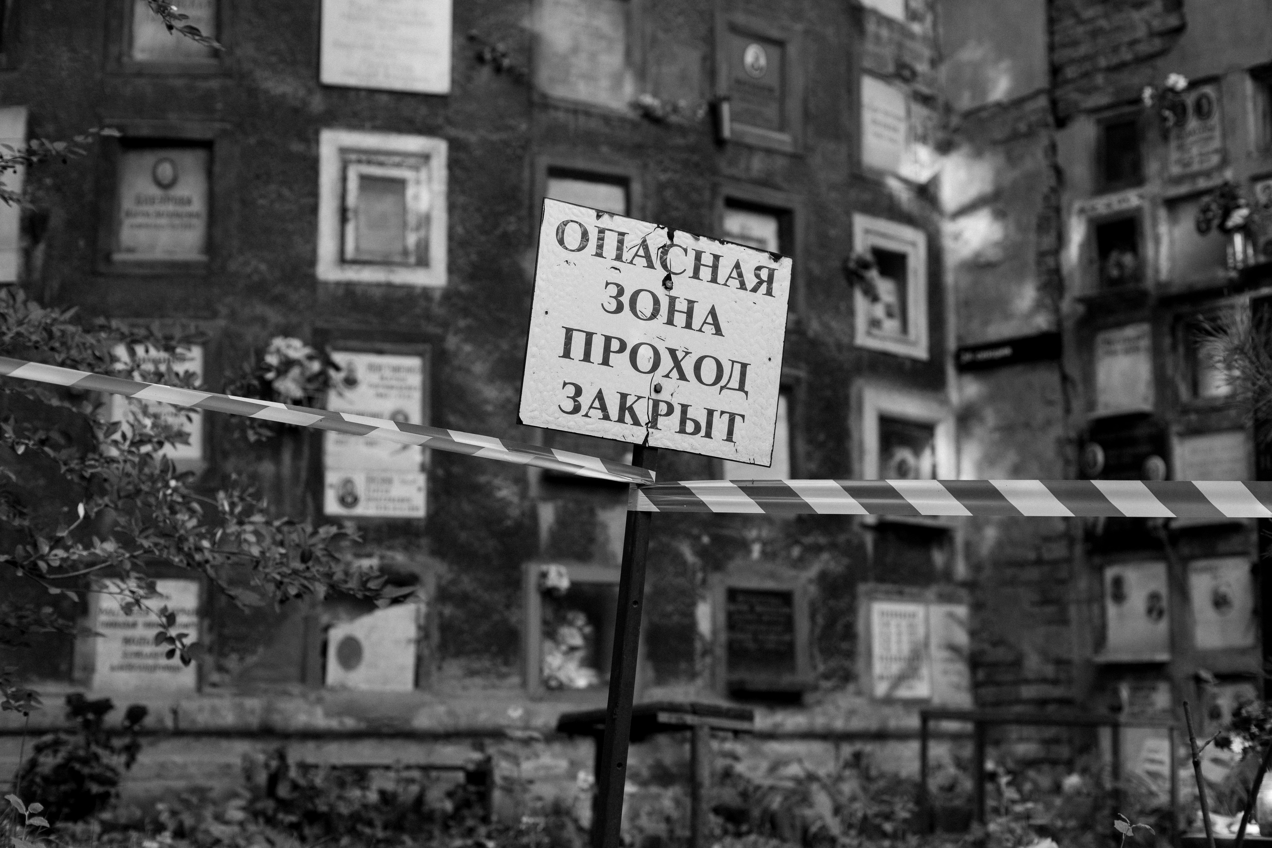 Донское кладбище. Арсений Игошев — фотограф, урбанист