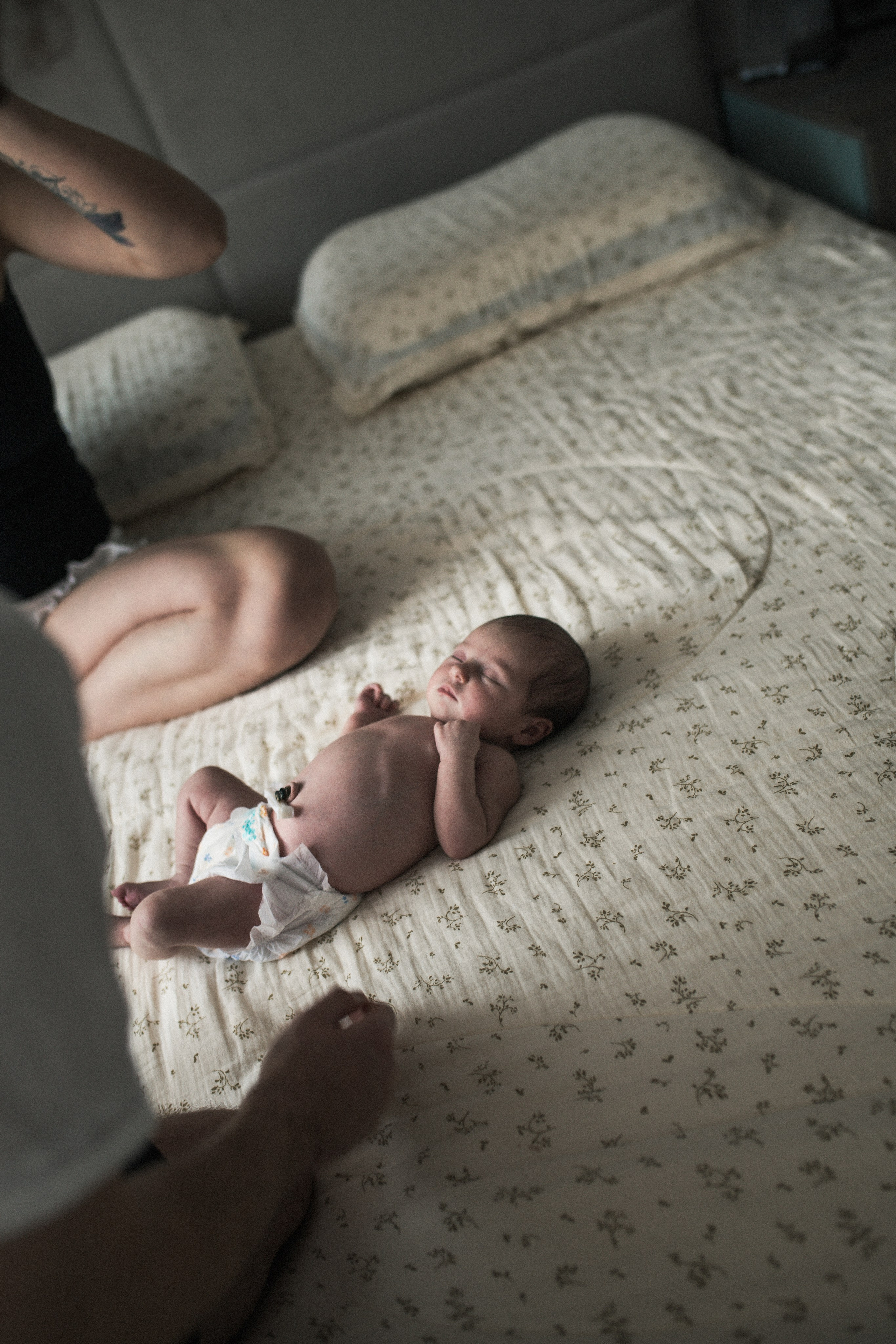 ньюборн краснодар