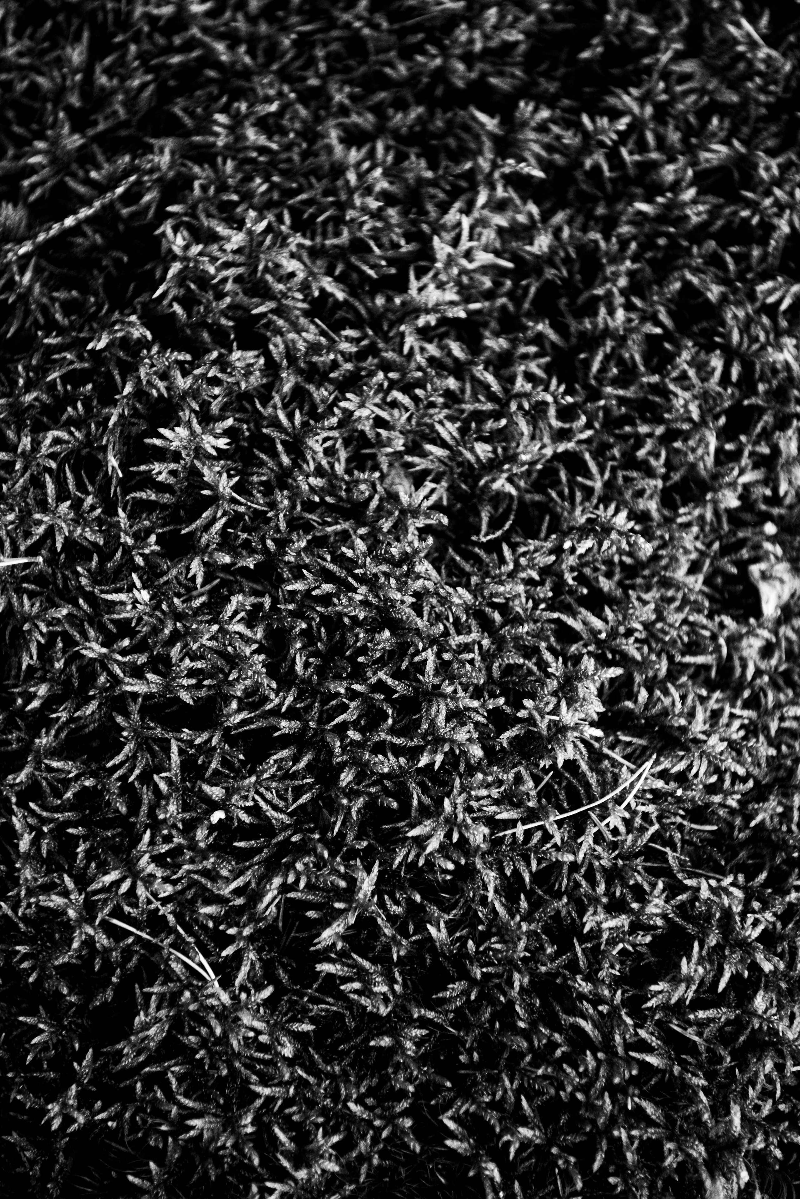 Текстуры. Портретный и архитектурный фотограф в Москве и Санкт-Петербурге