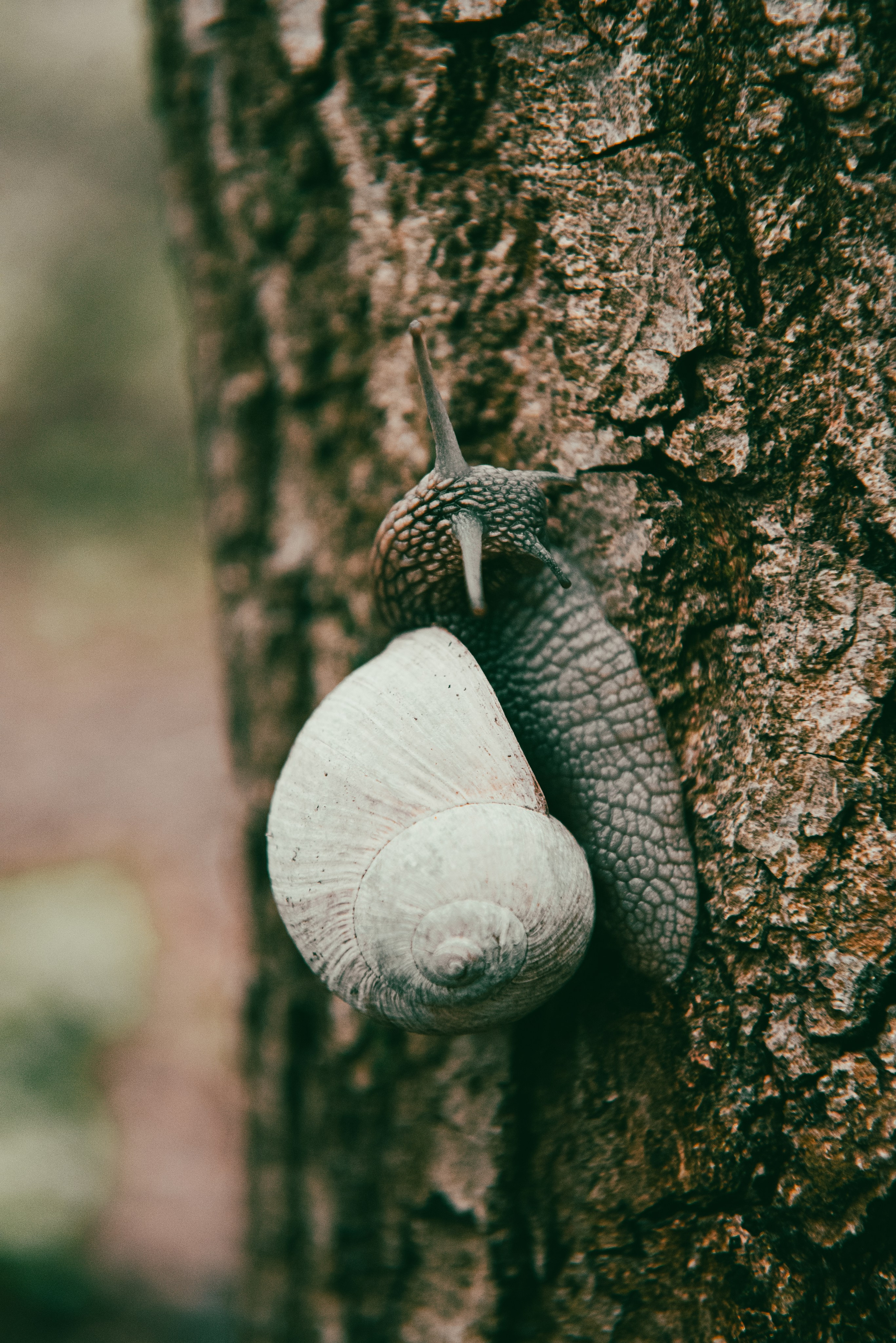 Текстуры апреля. Портретный и архитектурный фотограф в Москве и Санкт-Петербурге