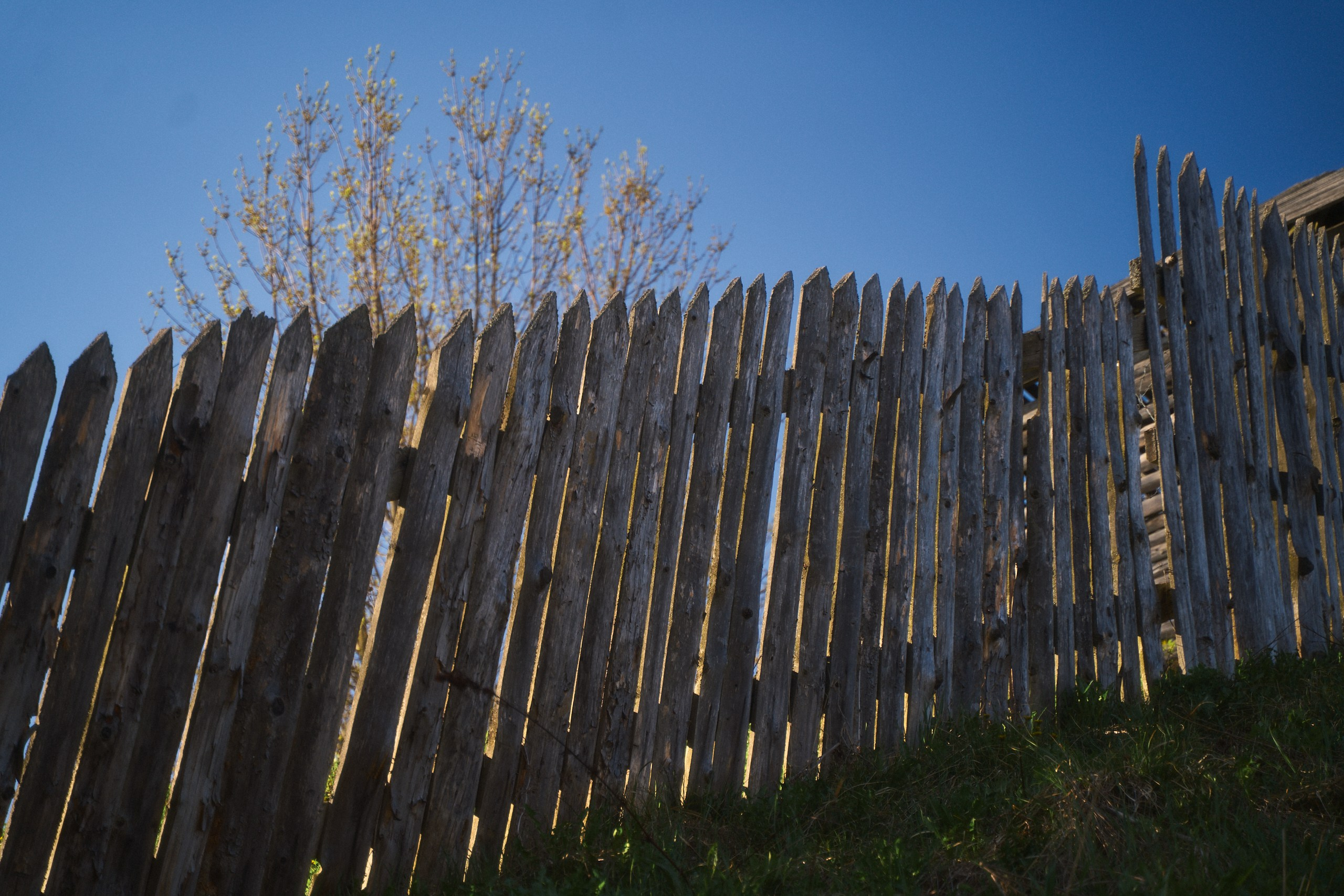 Весна в Торжке Апрель 2025