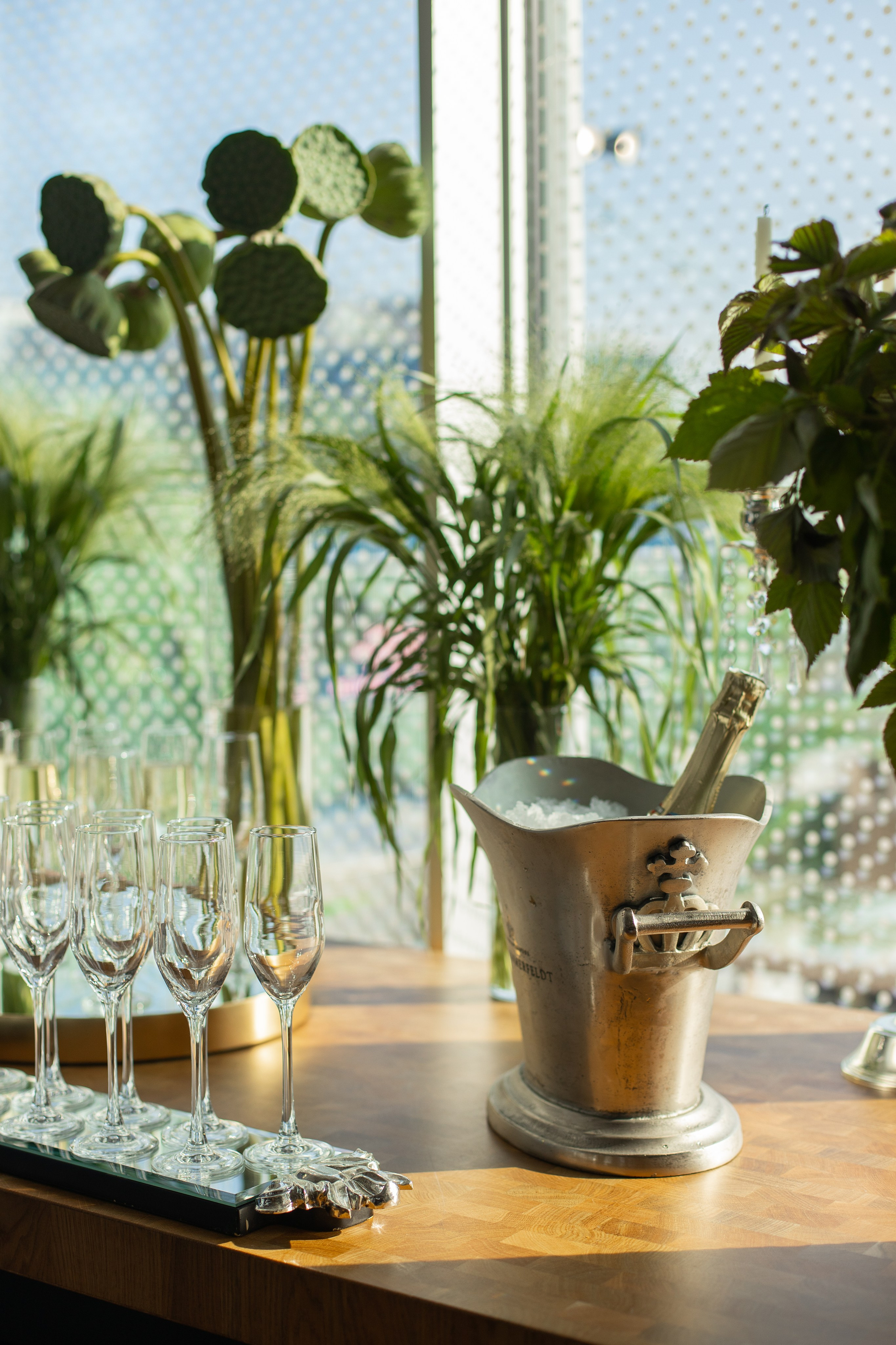 Festival party. Фотограф в Москве Десятова Ксения