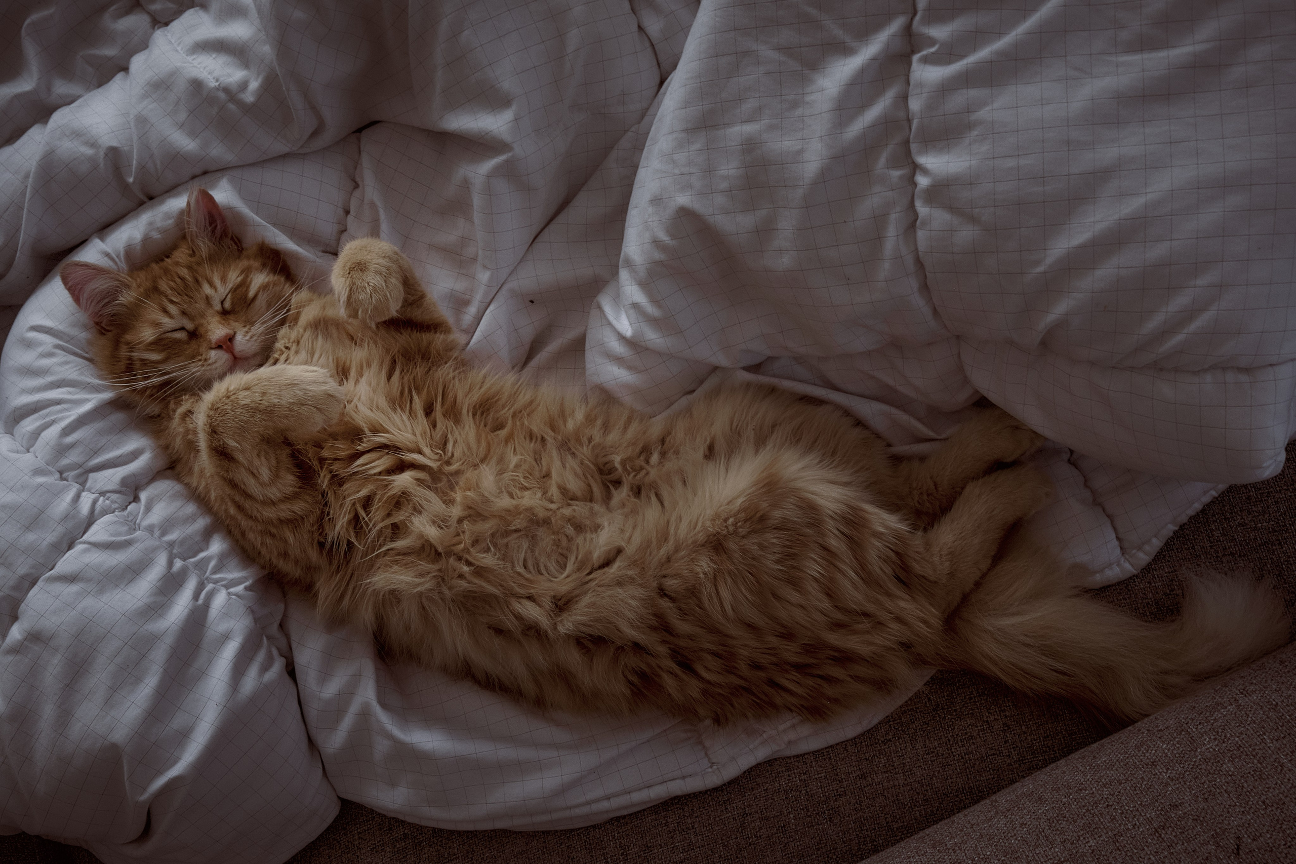 Сyprus > 2024 / april. Aleksandr Kobtsev