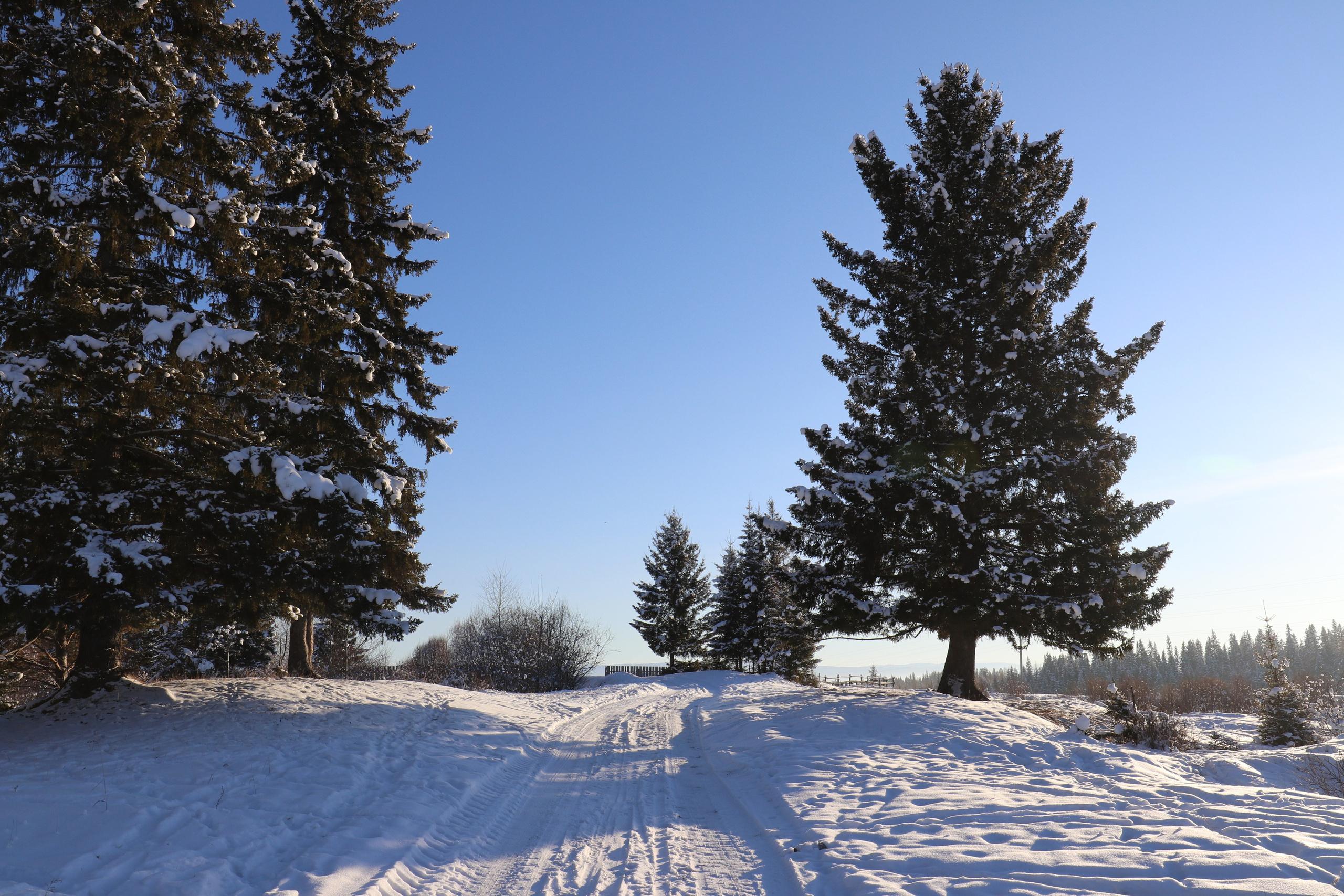 Аршан. Январь 2022. Путешественник-фотограф из Санкт-Петербурга Татьяна Свистулина