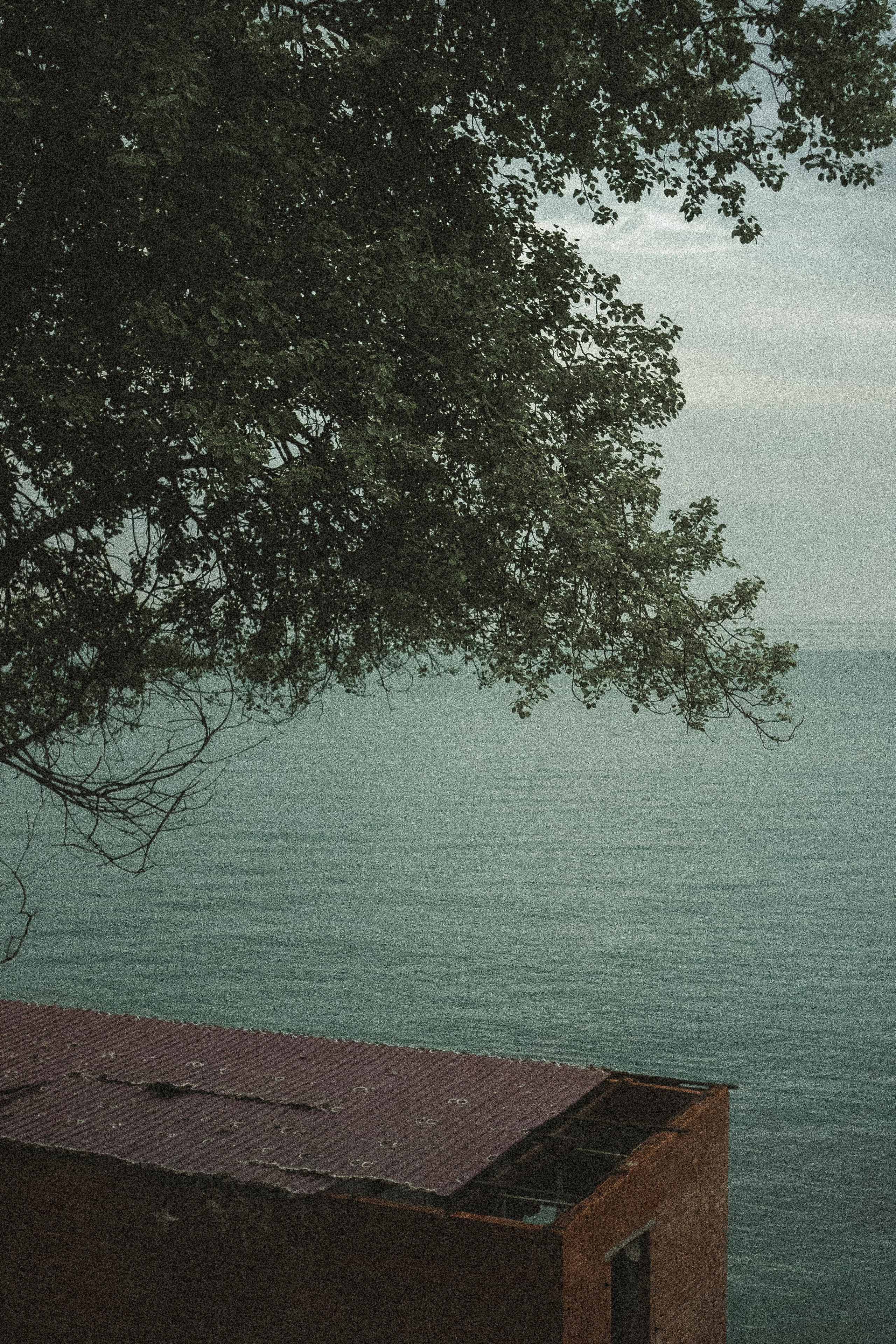 ПОЕЗД. Профессиональный фотограф, Санкт-Петербург — Виктория Богомолова