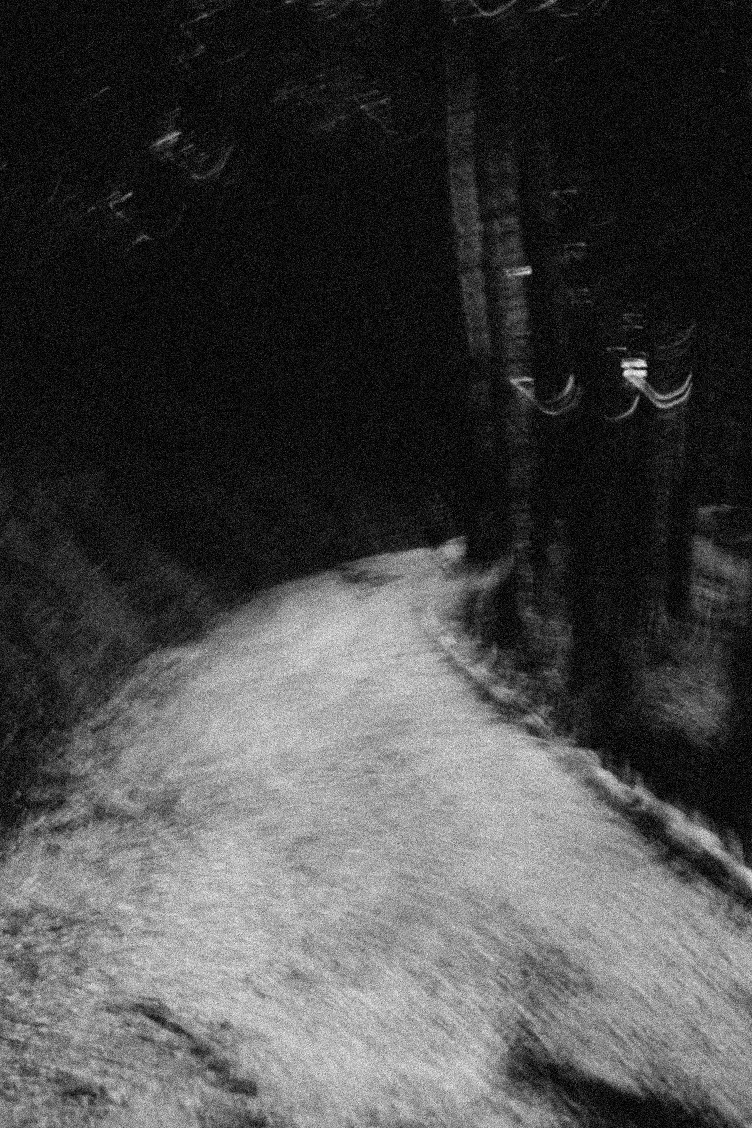 СТИЛЬ ЧБ. Профессиональный фотограф, Санкт-Петербург — Виктория Богомолова