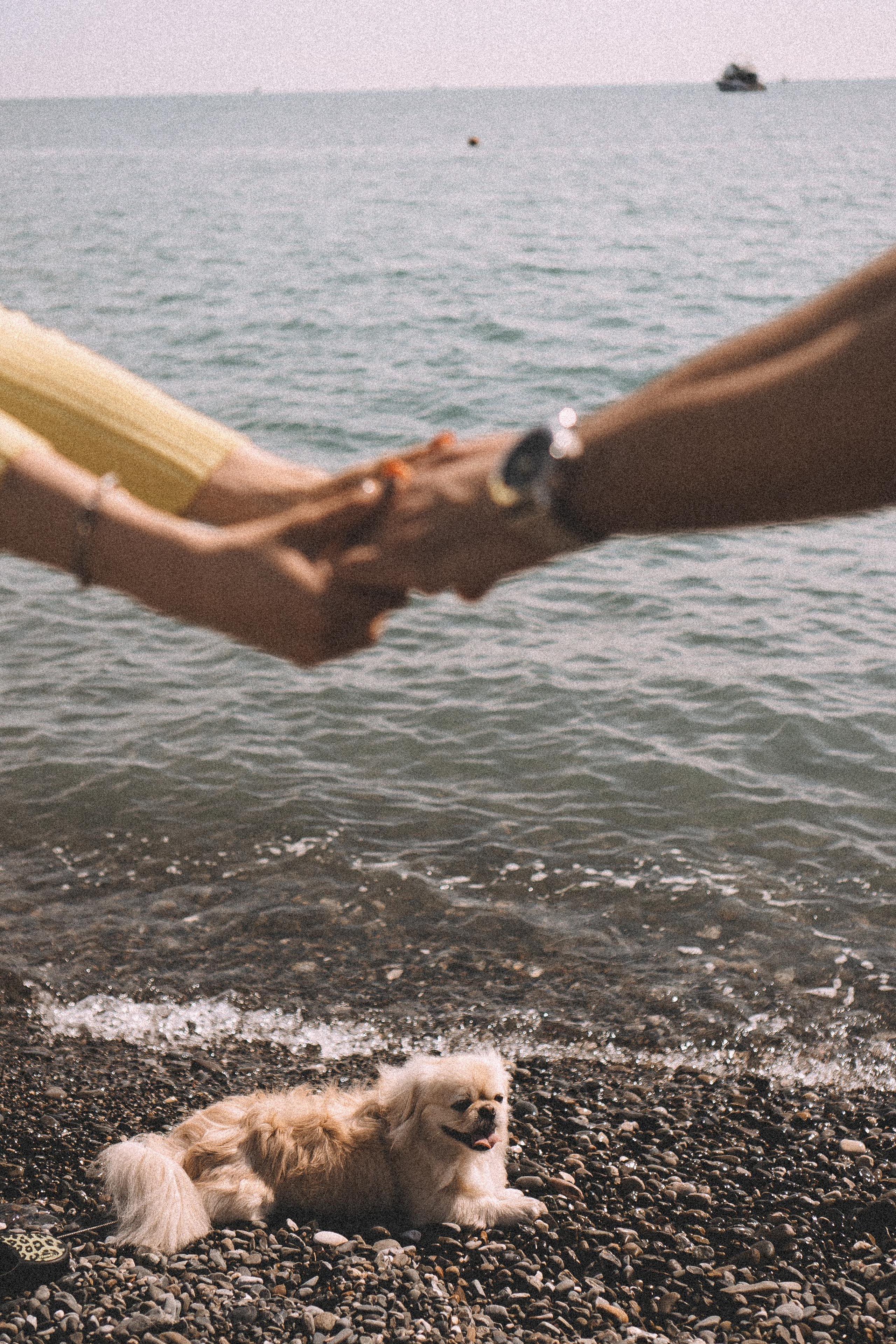 ПАРА НА МОРЕ. Профессиональный фотограф, Санкт-Петербург — Виктория Богомолова