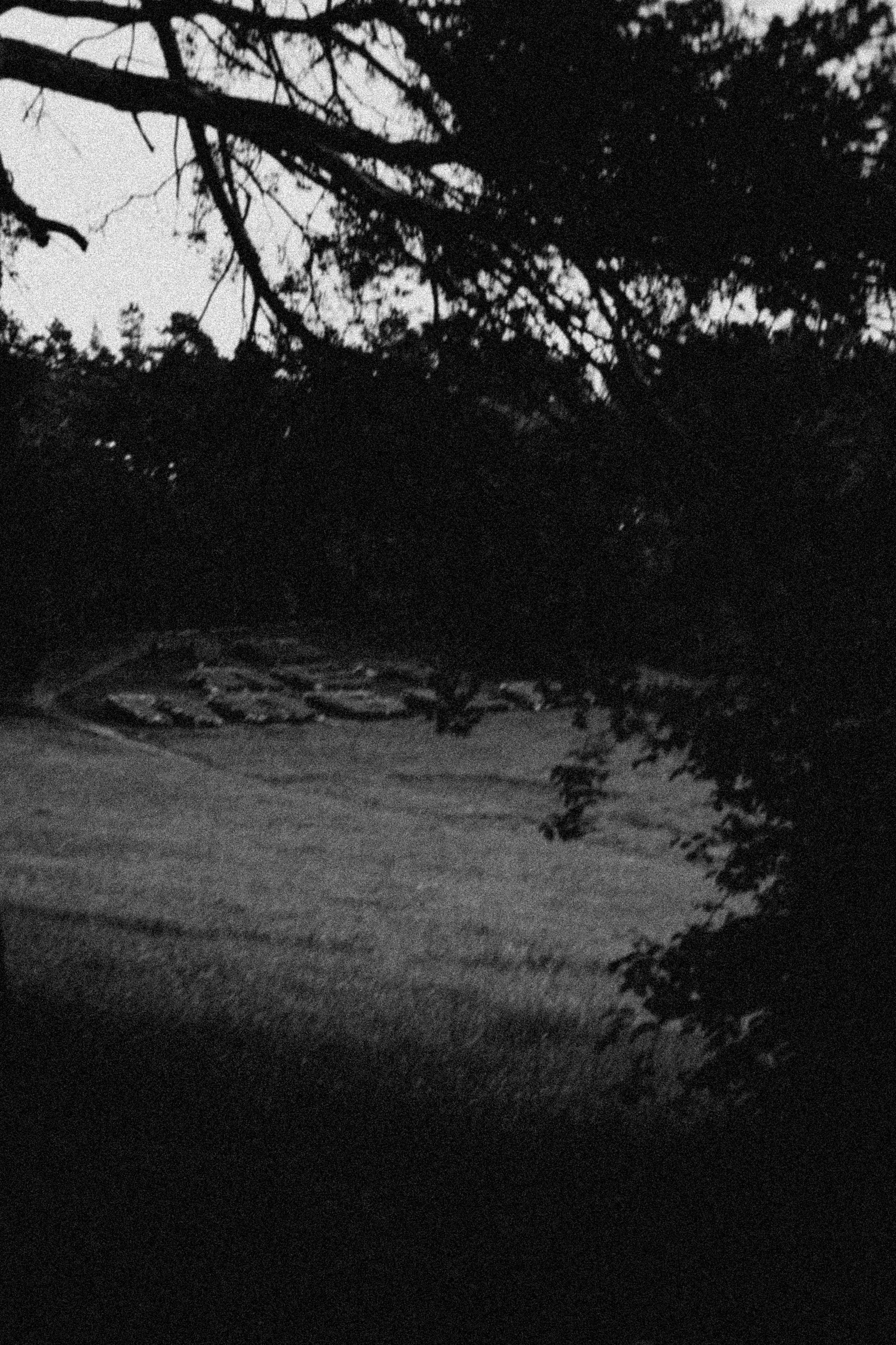 СТИЛЬ ЧБ. Профессиональный фотограф, Санкт-Петербург — Виктория Богомолова