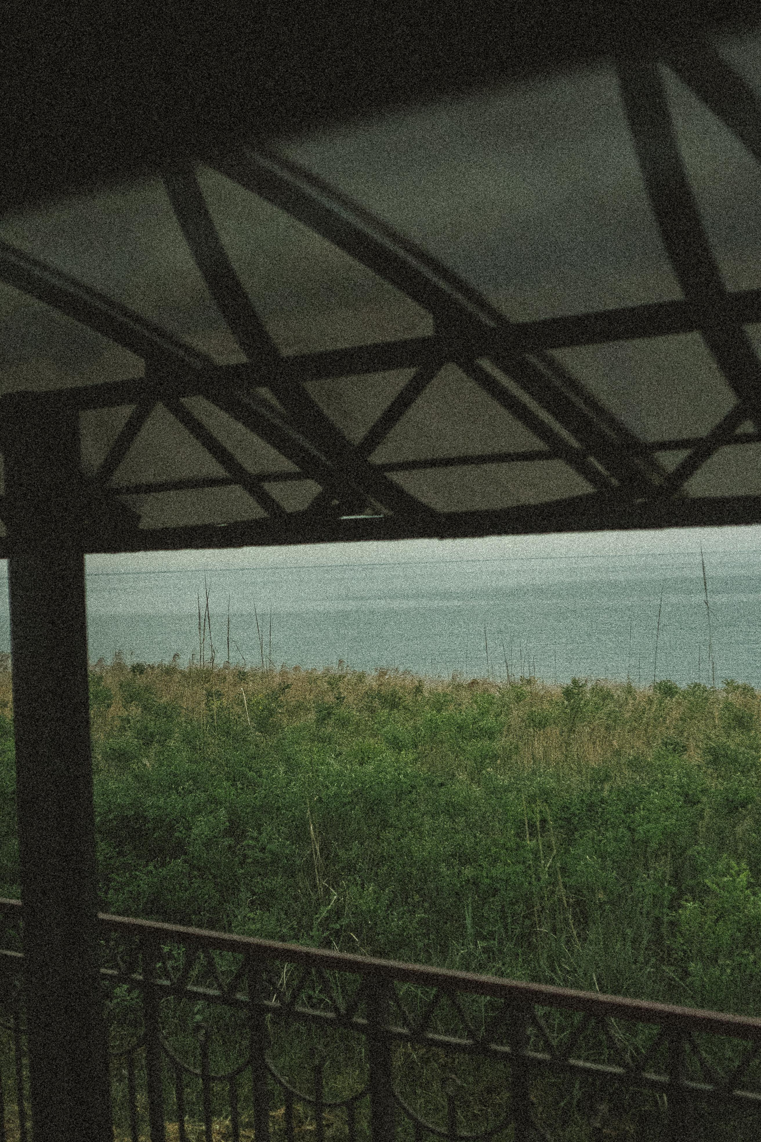 ПОЕЗД. Профессиональный фотограф, Санкт-Петербург — Виктория Богомолова