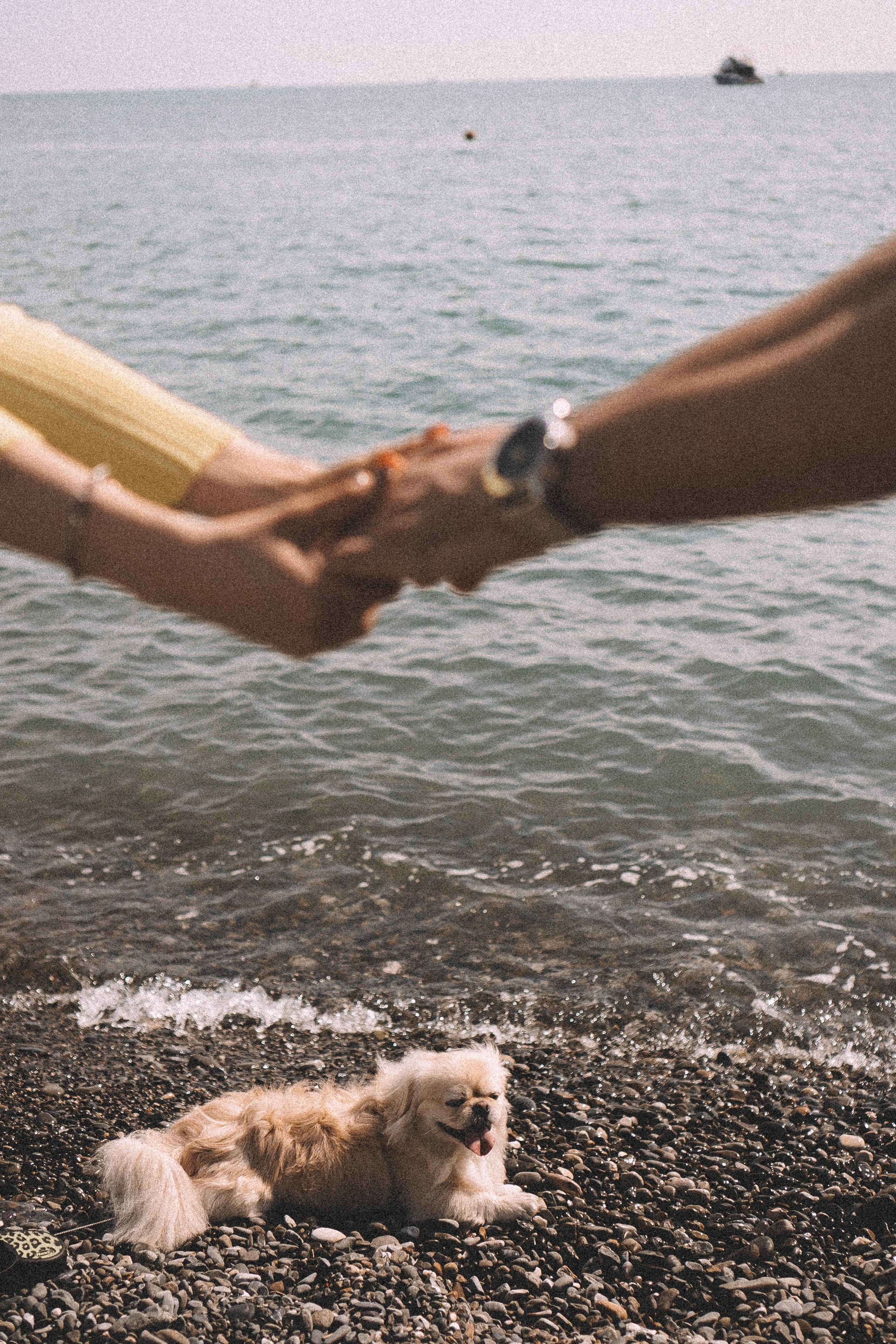 ПАРА НА МОРЕ. Профессиональный фотограф, Санкт-Петербург — Виктория Богомолова