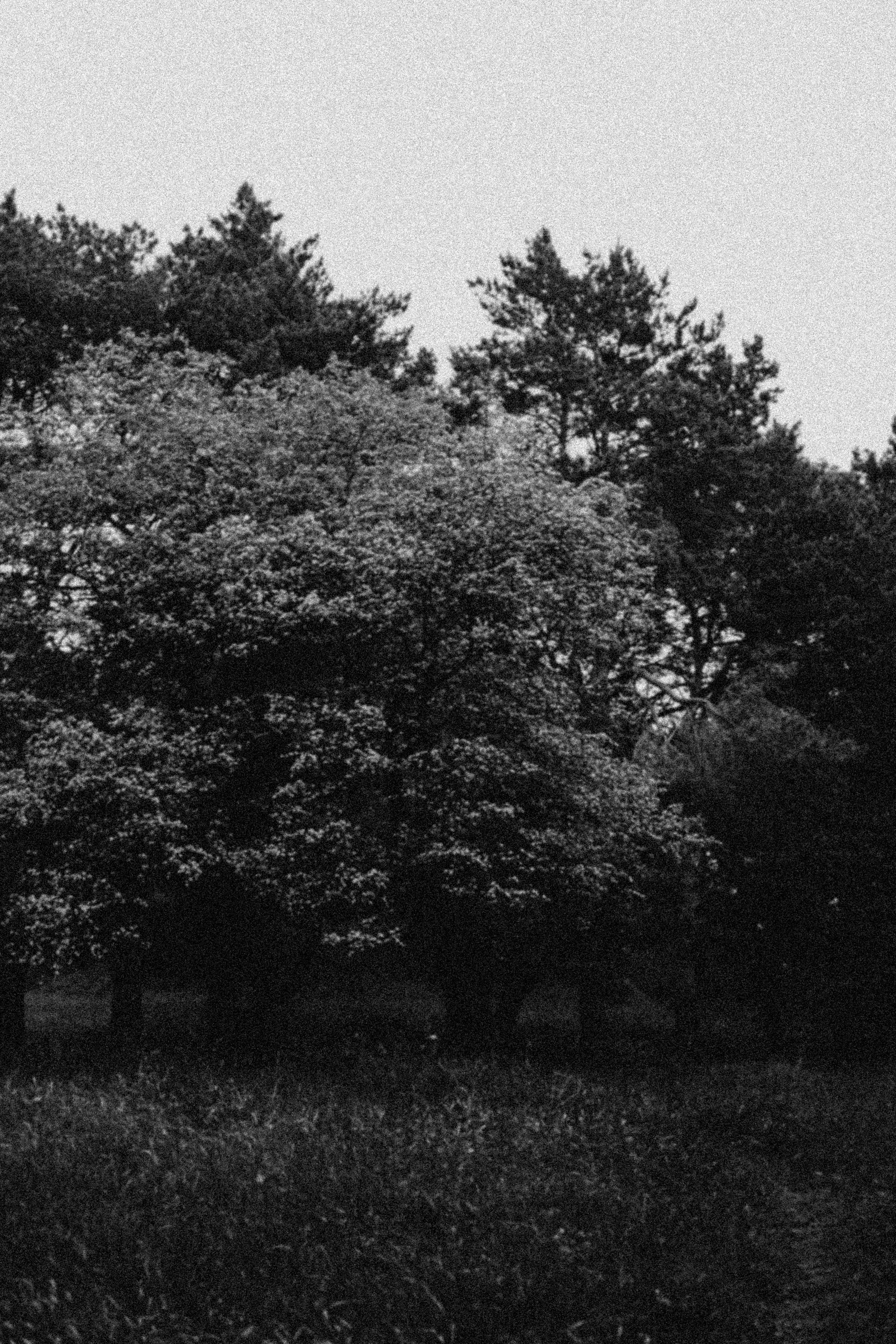 СТИЛЬ ЧБ. Профессиональный фотограф, Санкт-Петербург — Виктория Богомолова