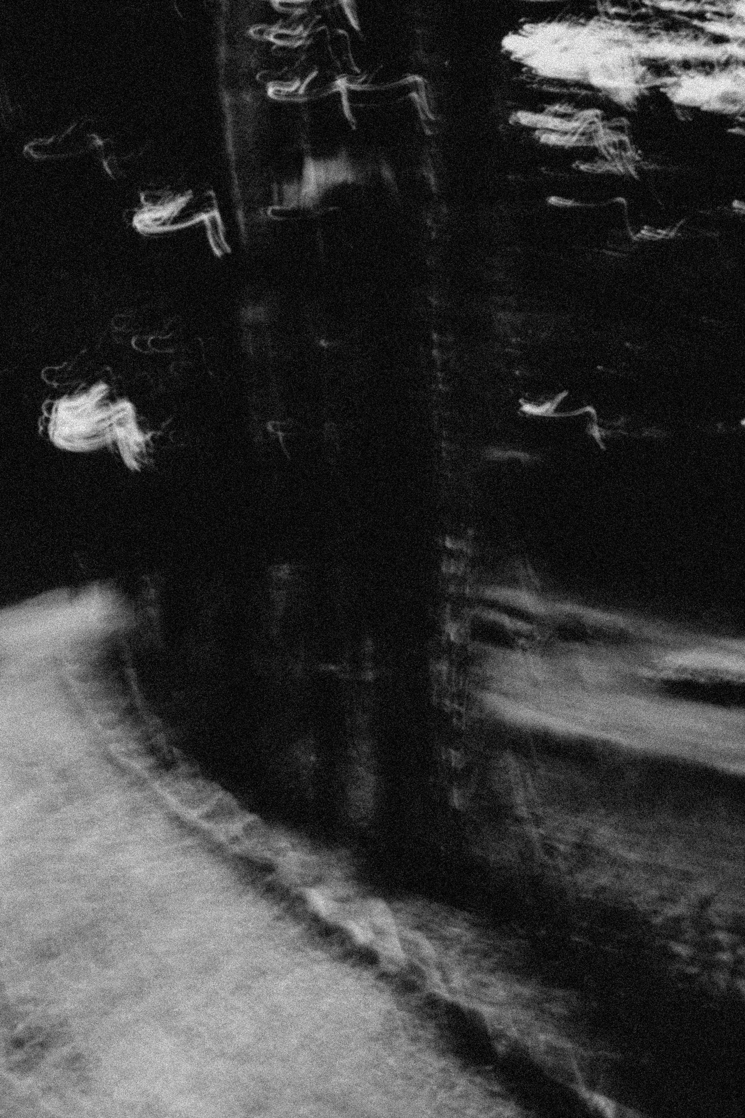 СТИЛЬ ЧБ. Профессиональный фотограф, Санкт-Петербург — Виктория Богомолова