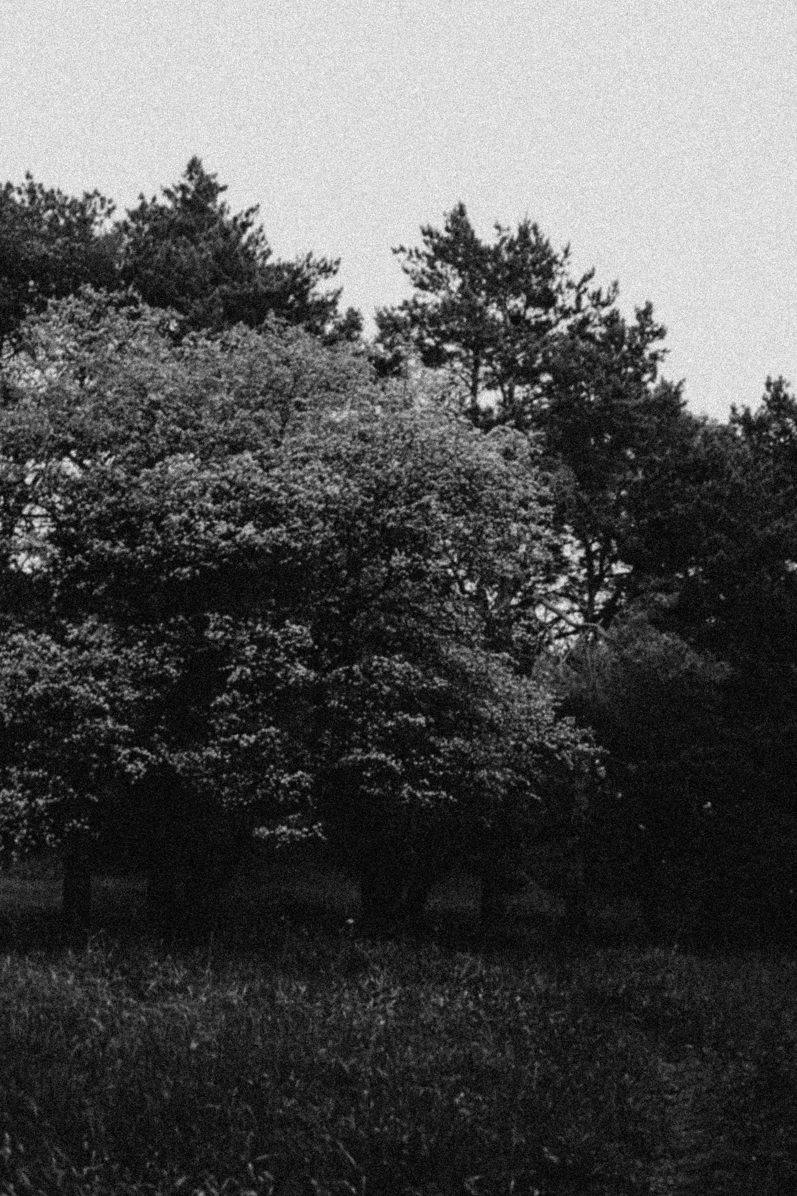 СТИЛЬ ЧБ. Профессиональный фотограф, Санкт-Петербург — Виктория Богомолова