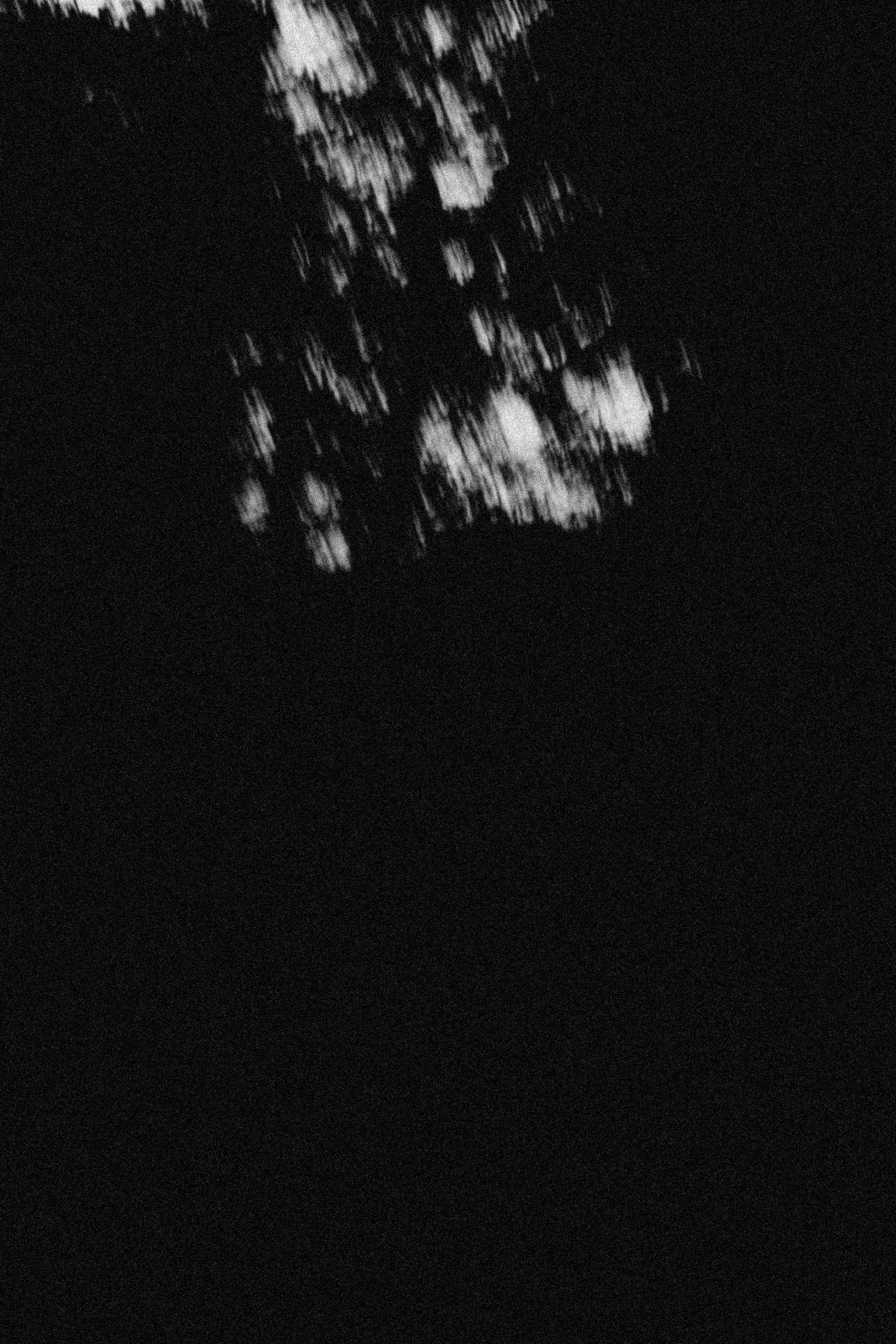 СТИЛЬ ЧБ. Профессиональный фотограф, Санкт-Петербург — Виктория Богомолова