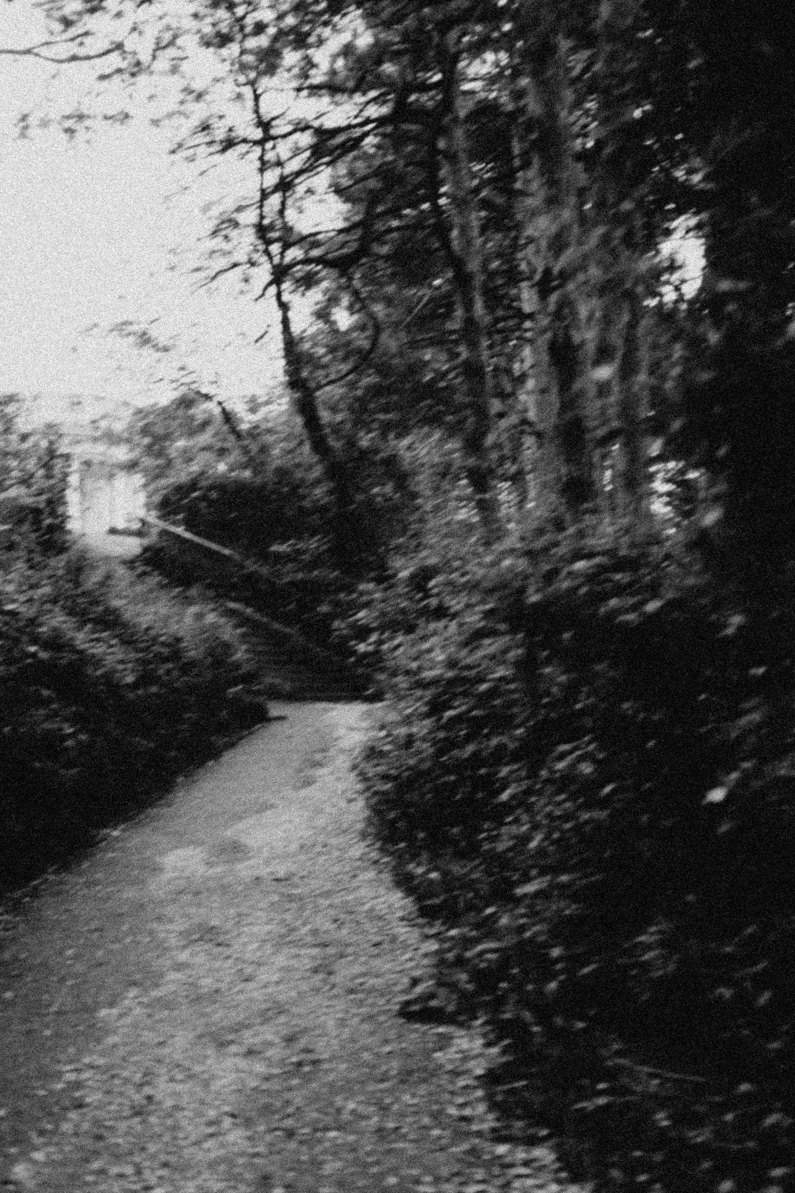 СТИЛЬ ЧБ. Профессиональный фотограф, Санкт-Петербург — Виктория Богомолова