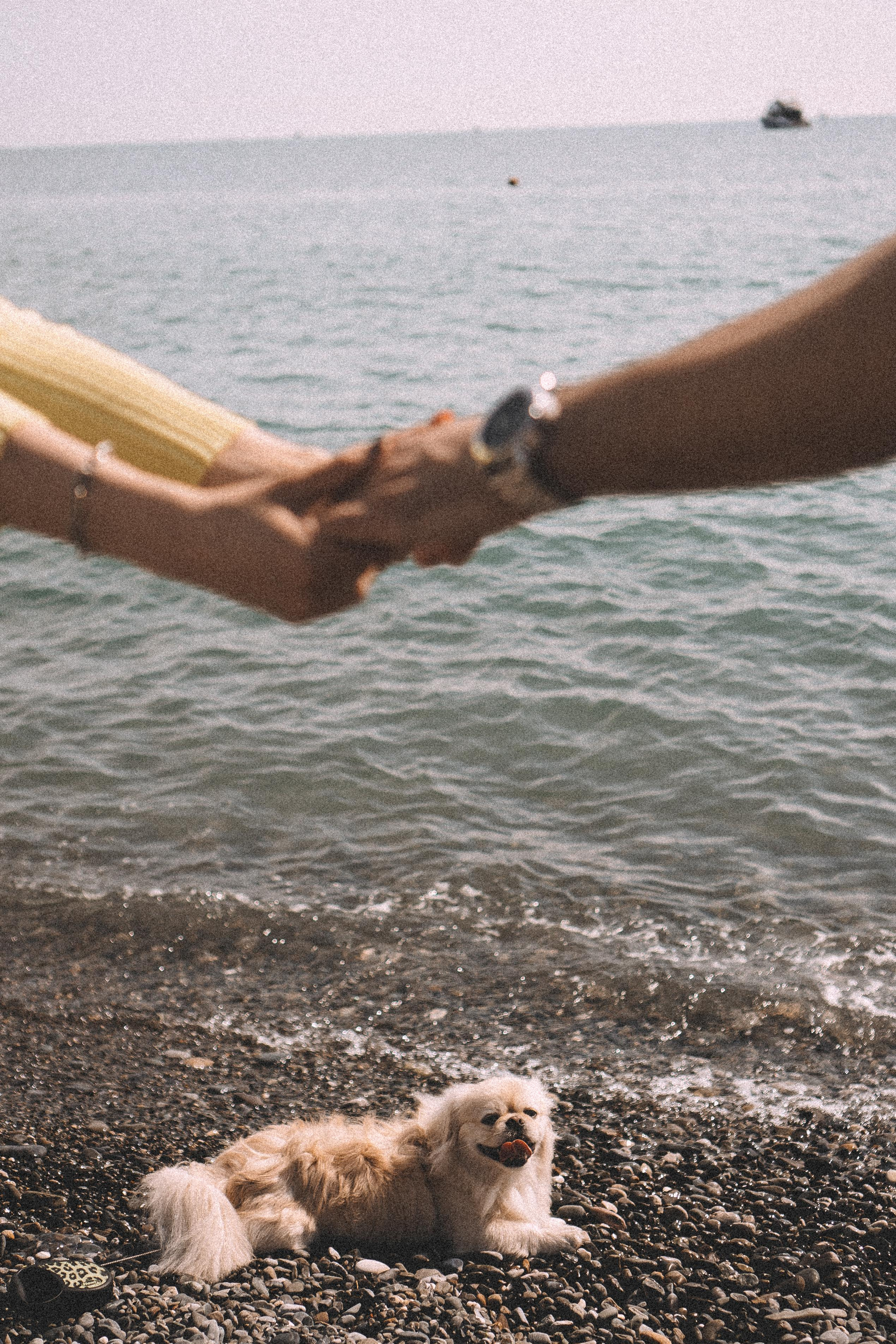 ПАРА НА МОРЕ. Профессиональный фотограф, Санкт-Петербург — Виктория Богомолова