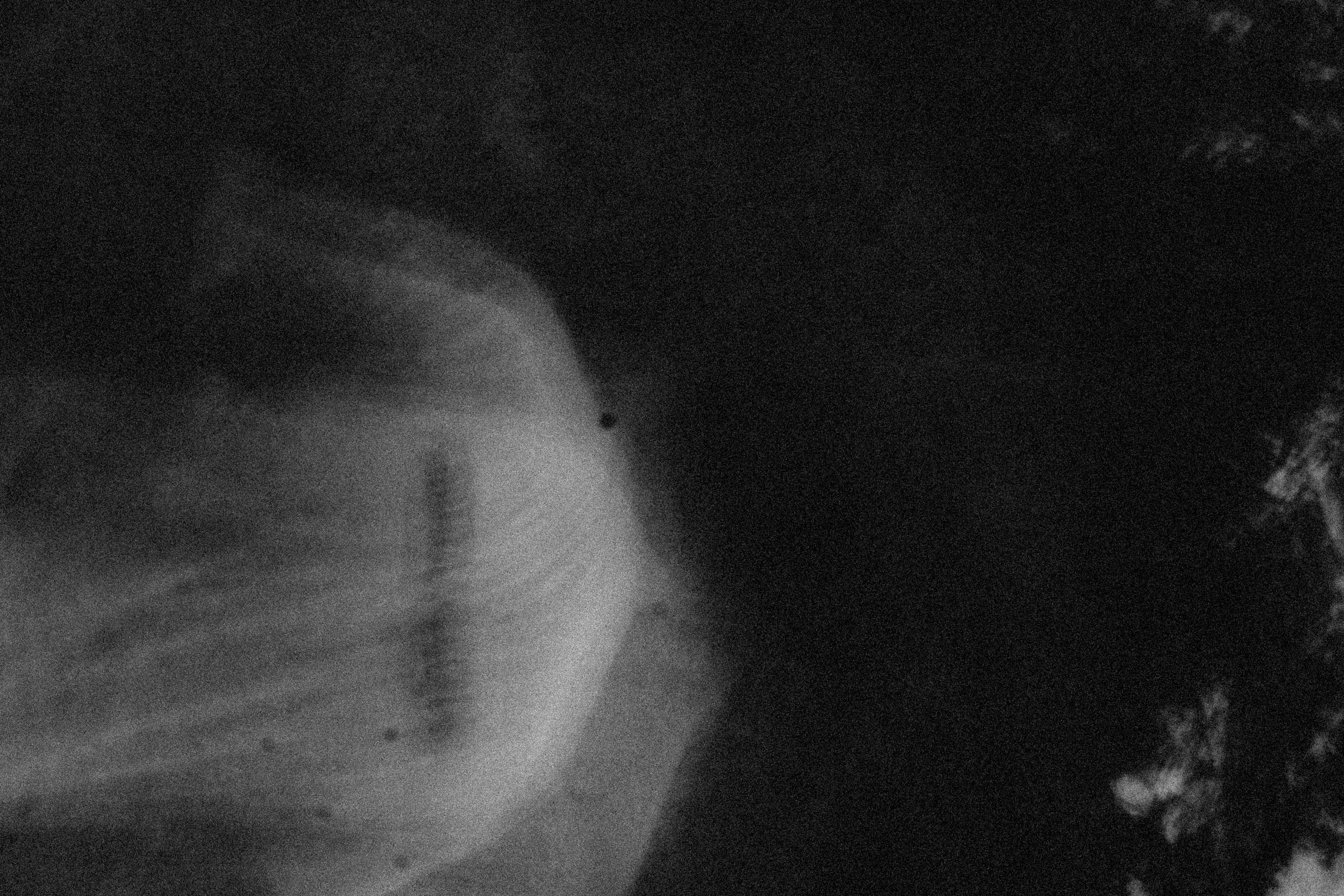 СТИЛЬ ЧБ. Профессиональный фотограф, Санкт-Петербург — Виктория Богомолова