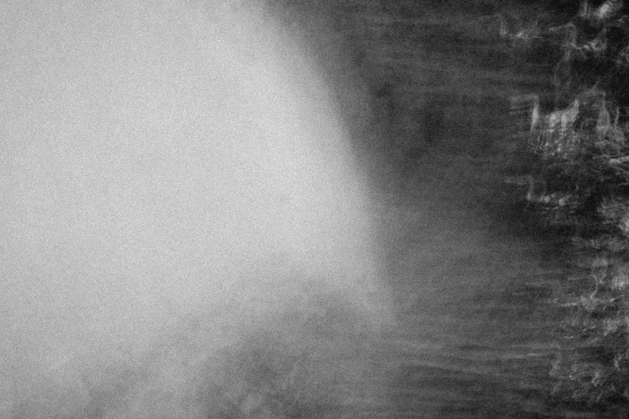 СТИЛЬ ЧБ. Профессиональный фотограф, Санкт-Петербург — Виктория Богомолова