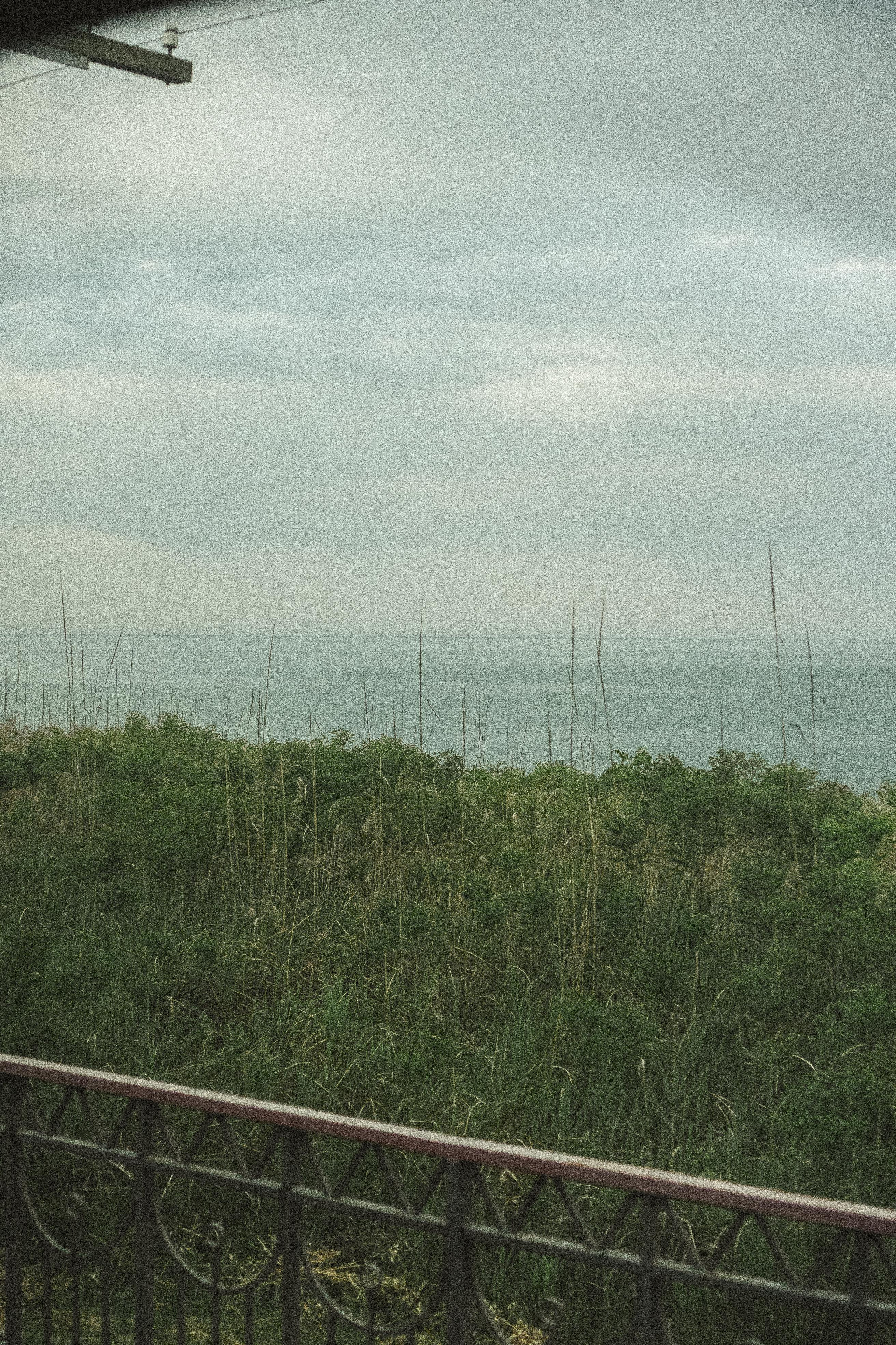 ПОЕЗД. Профессиональный фотограф, Санкт-Петербург — Виктория Богомолова