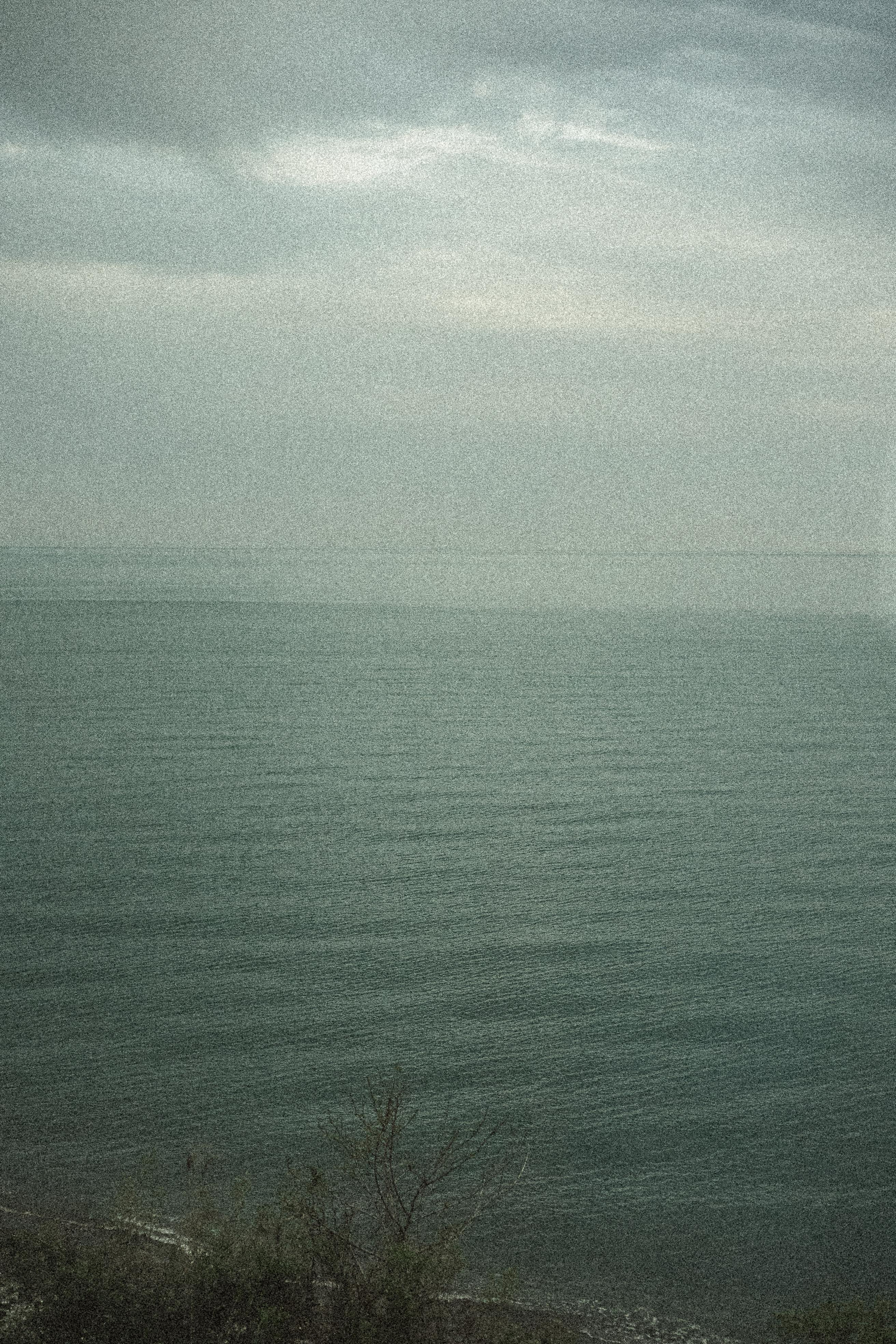 ПОЕЗД. Профессиональный фотограф, Санкт-Петербург — Виктория Богомолова