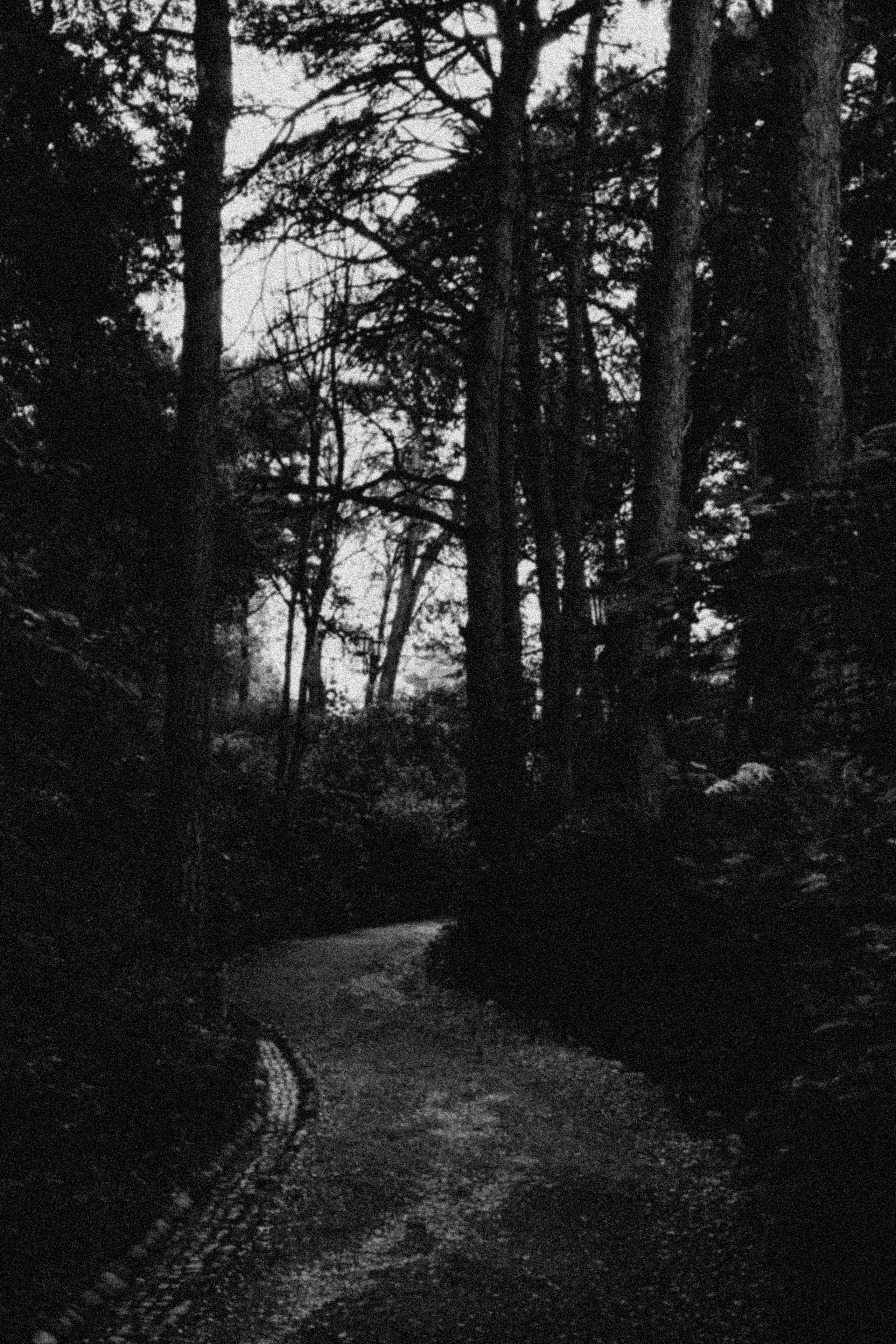 СТИЛЬ ЧБ. Профессиональный фотограф, Санкт-Петербург — Виктория Богомолова