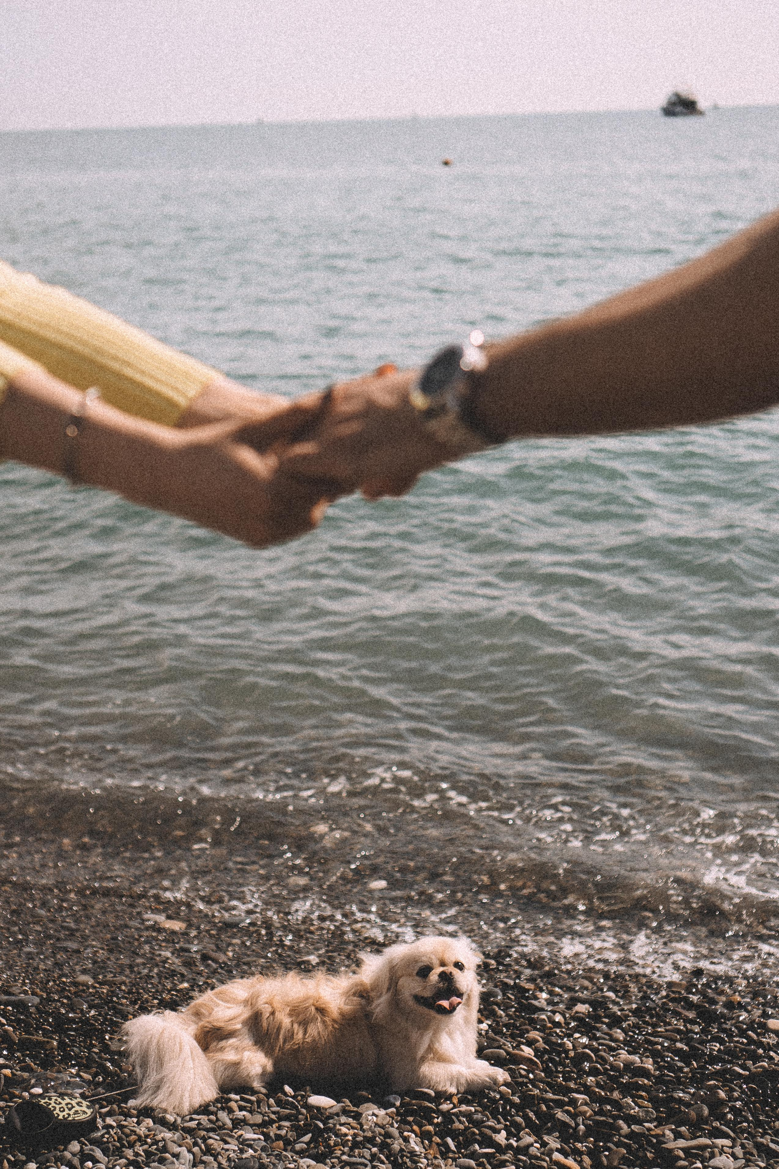 ПАРА НА МОРЕ. Профессиональный фотограф, Санкт-Петербург — Виктория Богомолова