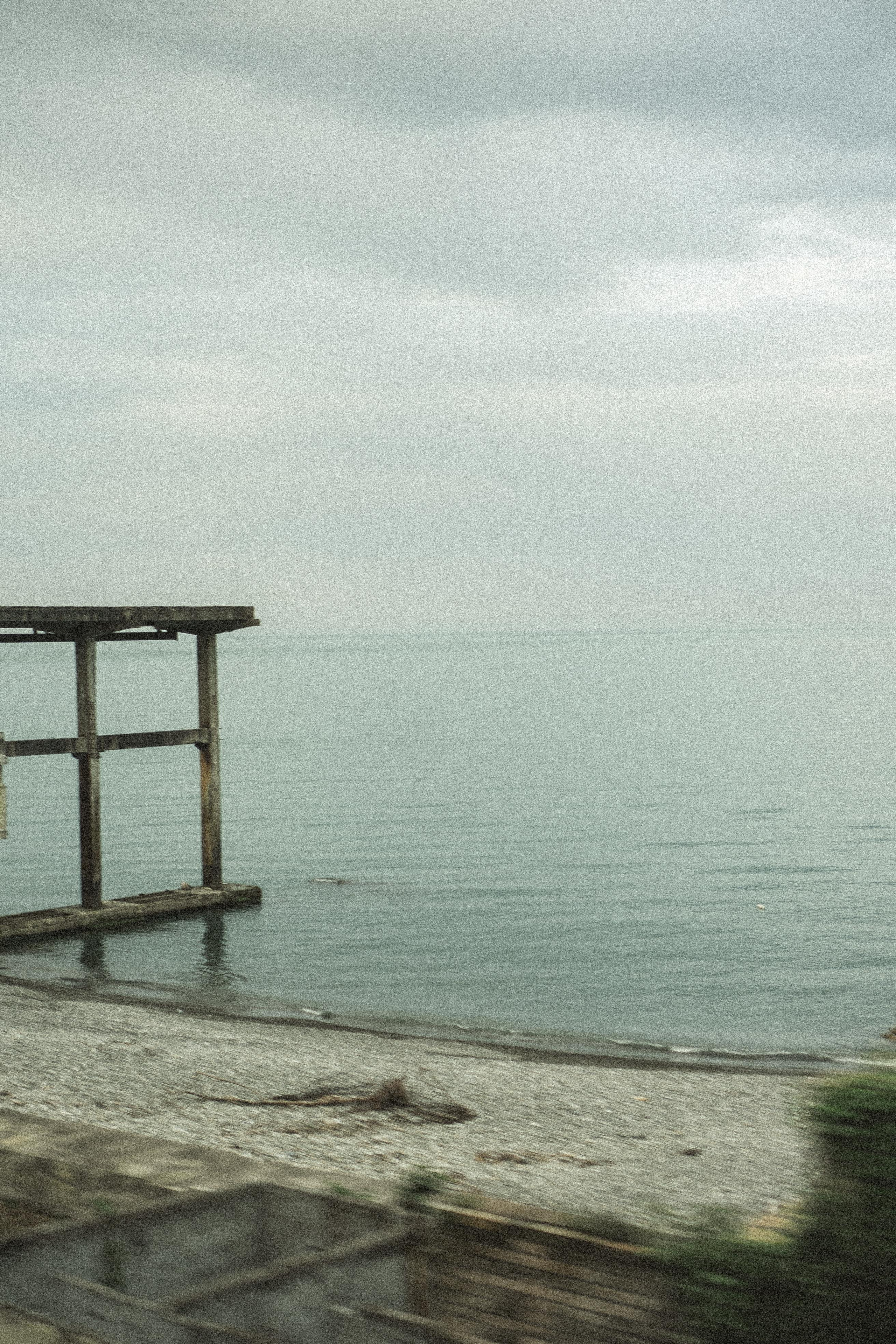 ПОЕЗД. Профессиональный фотограф, Санкт-Петербург — Виктория Богомолова