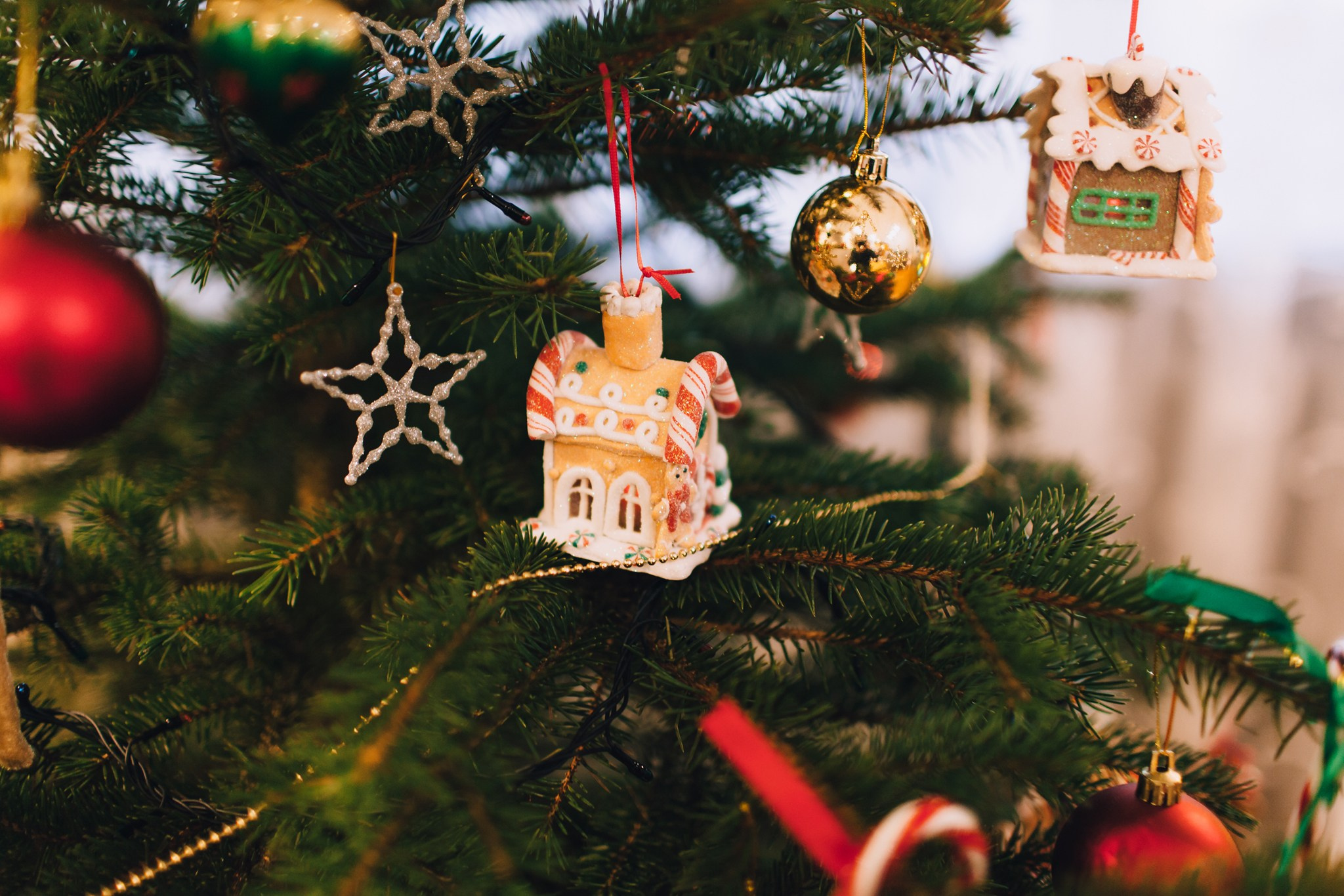 Новогодняя сказка. Свадебный фотограф в Минске Александр Савченко