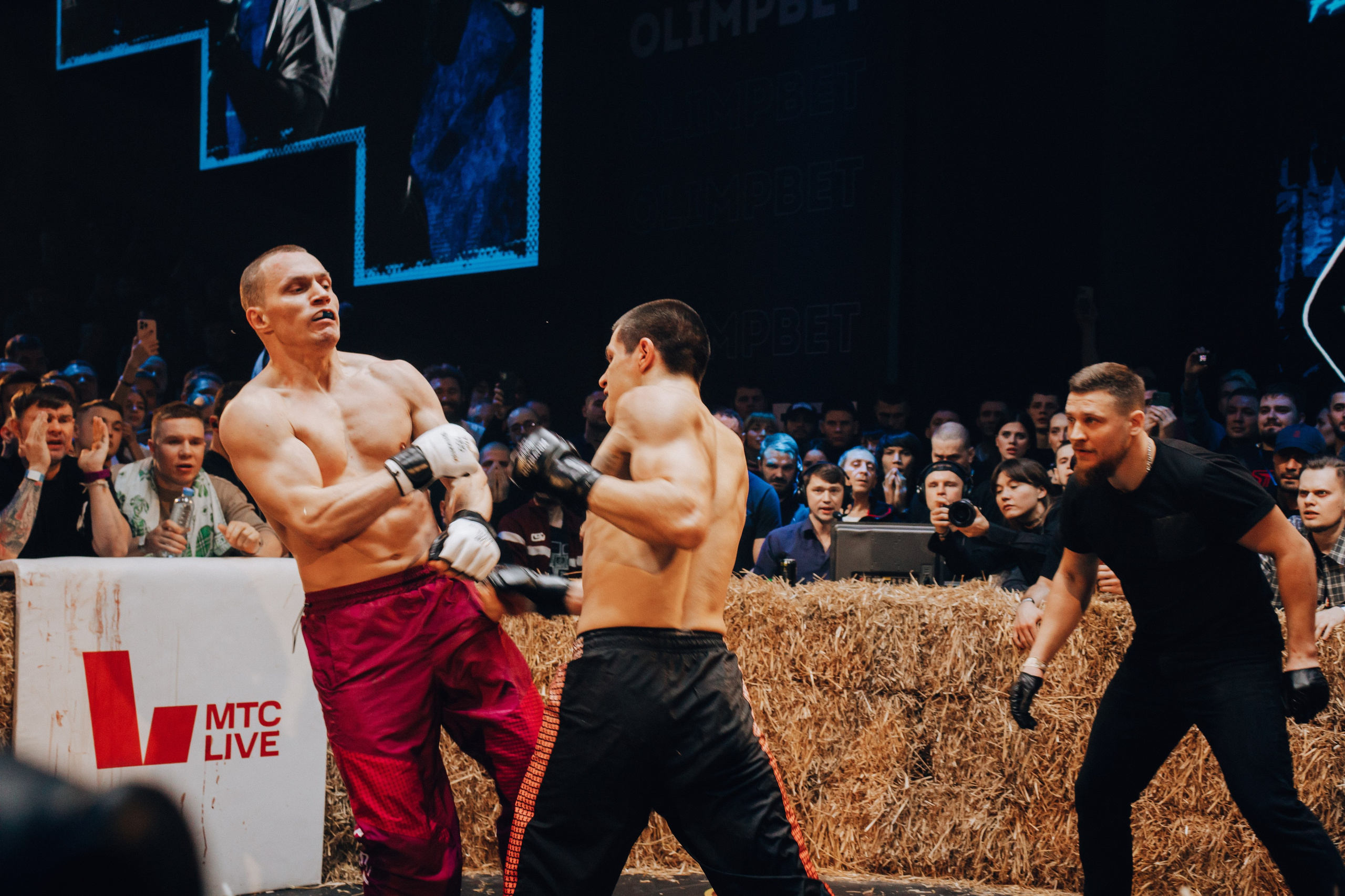 Кулачные бои TopDog. Анастасия Тен