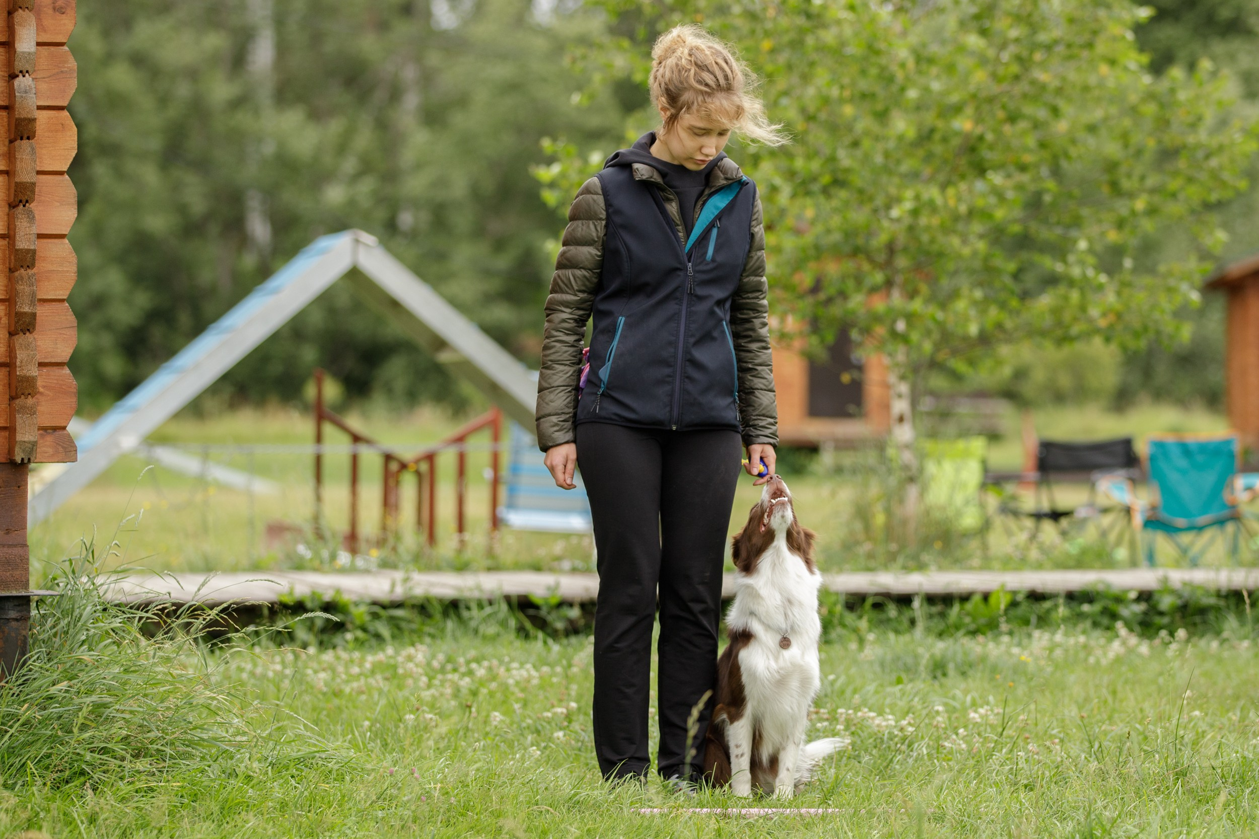 Лиза и Эни. Тренировка в лагере по обидиенс. Фотограф-анималист в Калуге Мария Шерскова